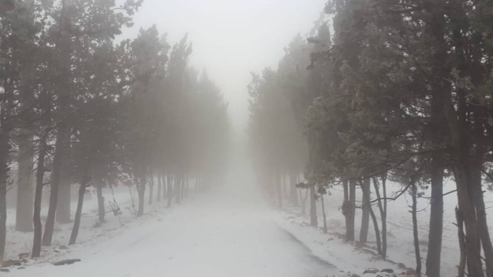 ثلوج في الأردن - أرشيف