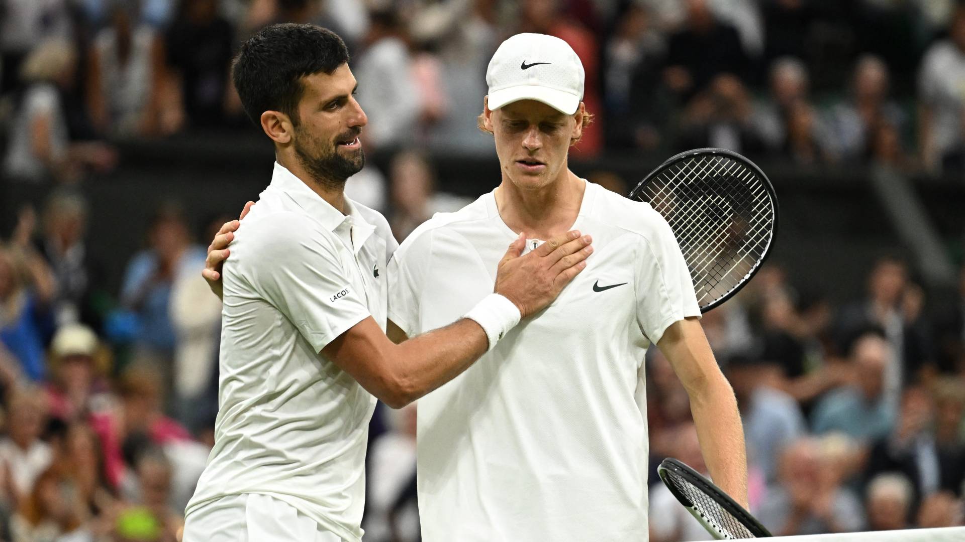 نوفاك دجوكوفيتش ويانيك سينر