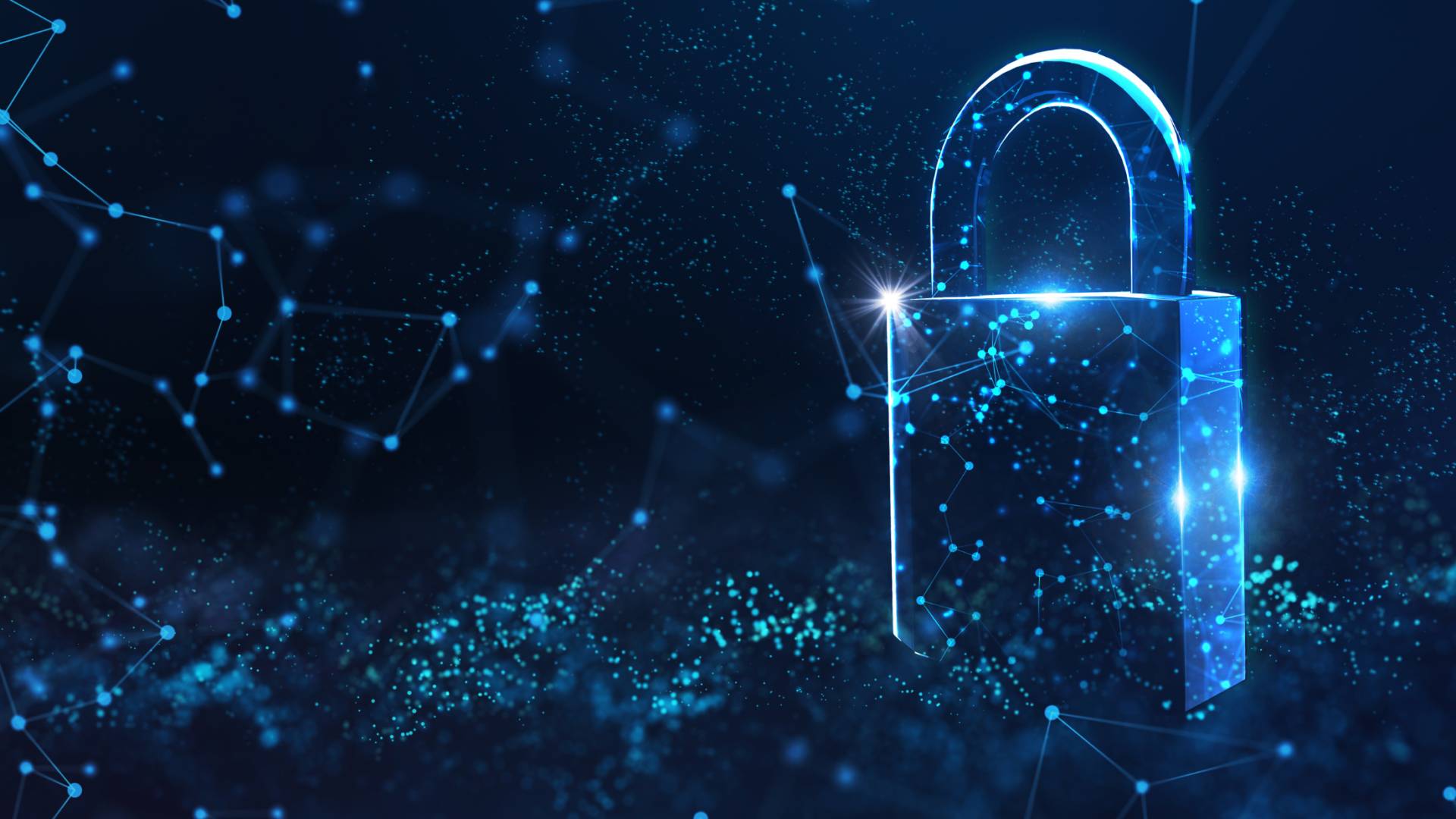 صورة تعبر عن الحماية من الاحتيال