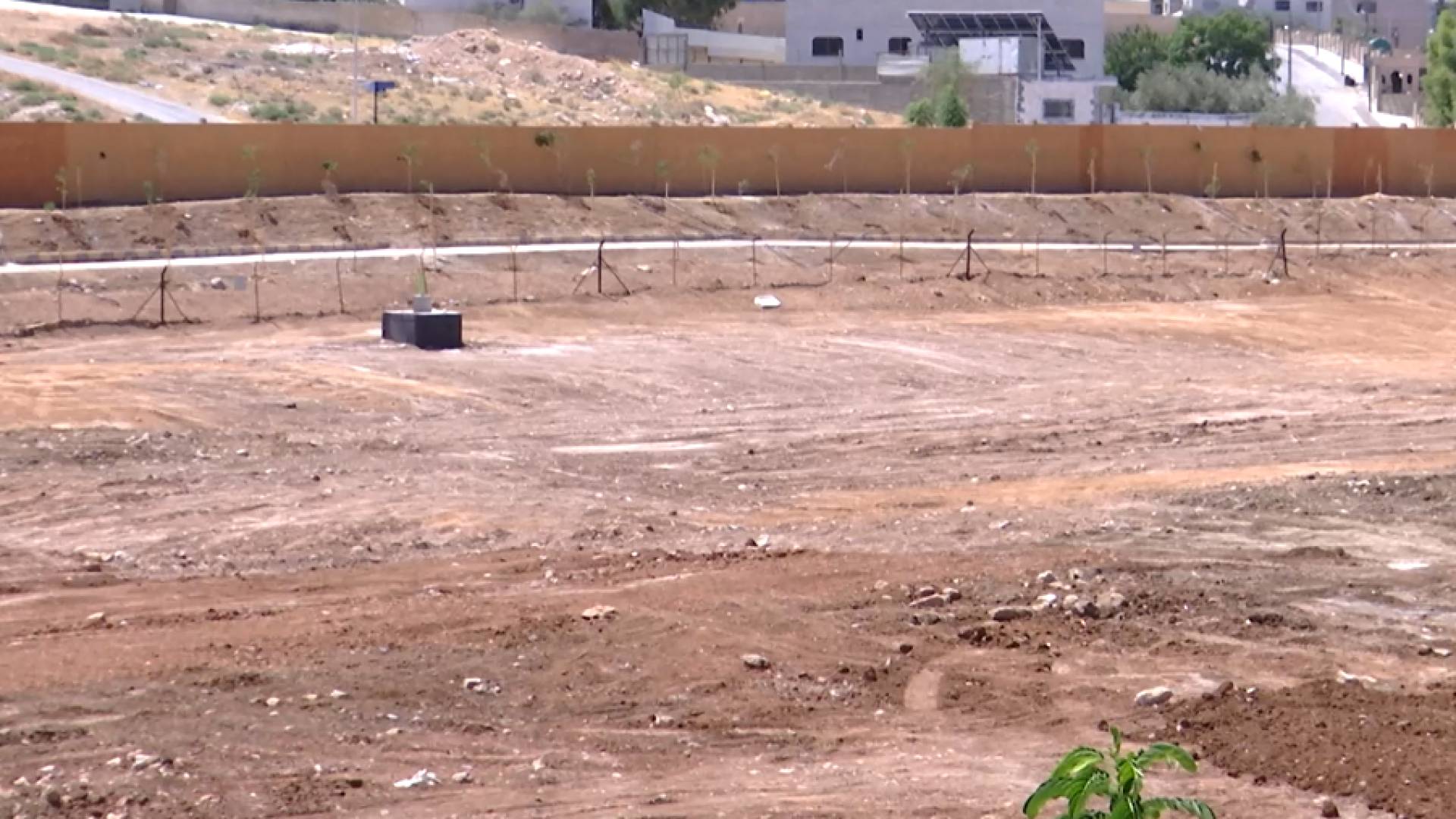 بركة البيبسي