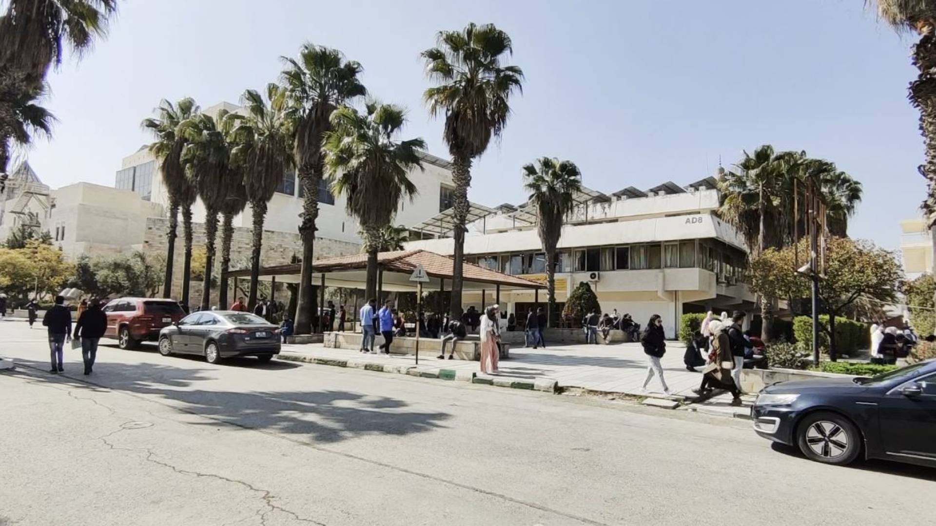 فجوة بين الطموح والواقع.. شباب إربد يتطلعون إلى تغيير حقيقي في الانتخابات - تقرير