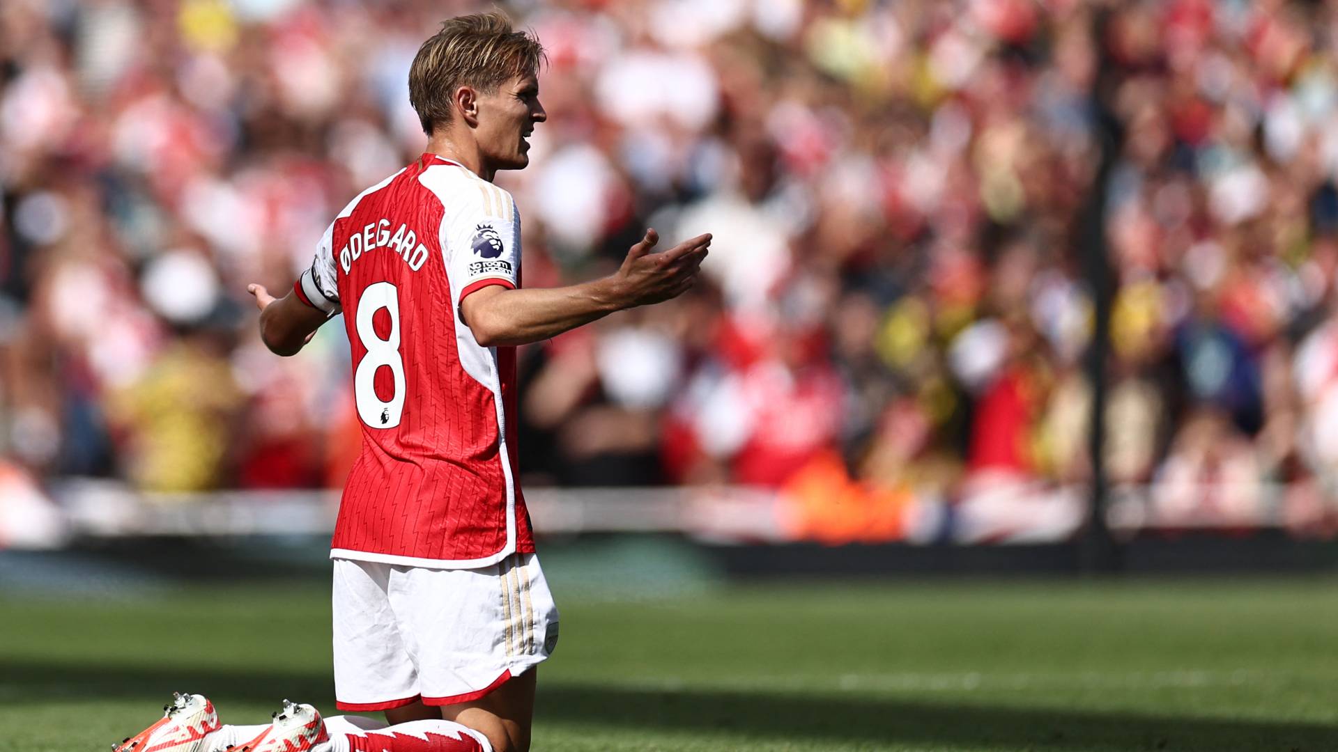 قائد آرسنال أوديغارد