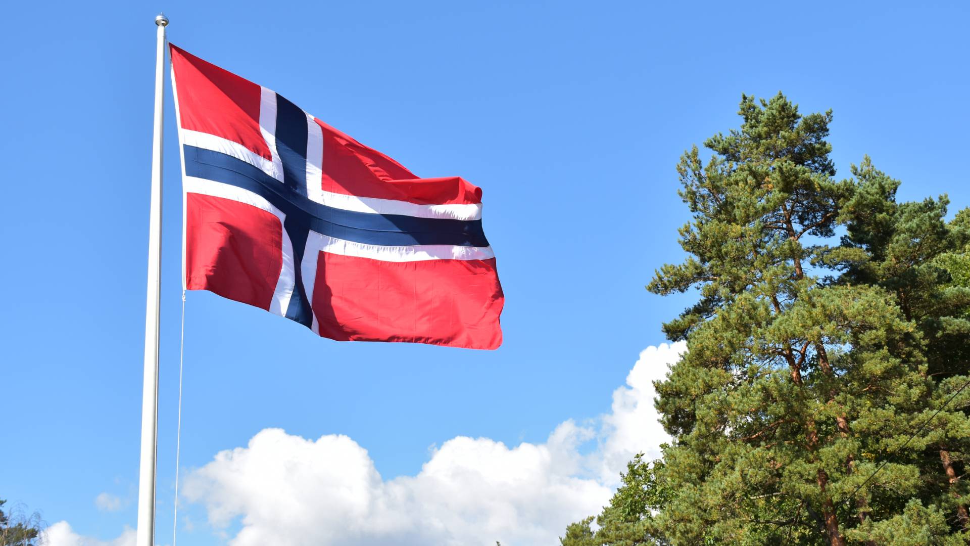 العلم النرويجي