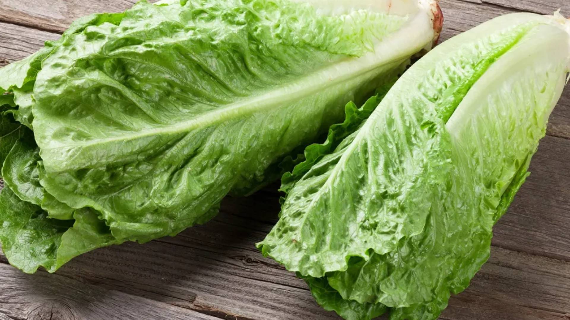 يتميز الخس باحتوائه على مجموعة متنوعة من العناصر الغذائية