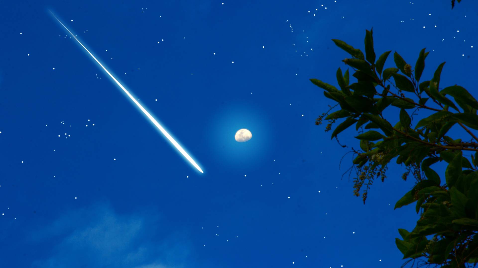 صورة تعبر عن نيزك