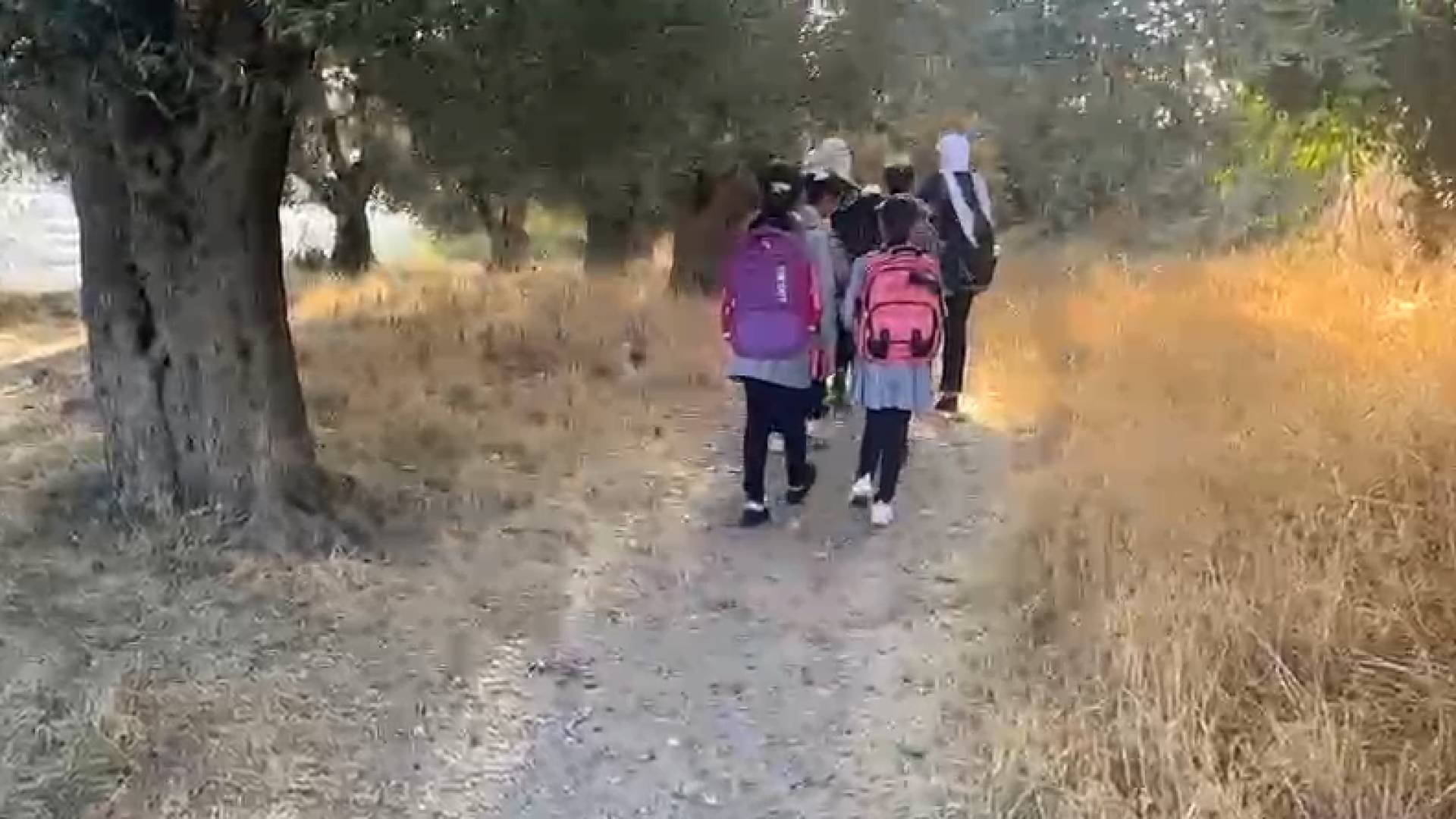 طلبة يمرون من خلال طرق زراعية