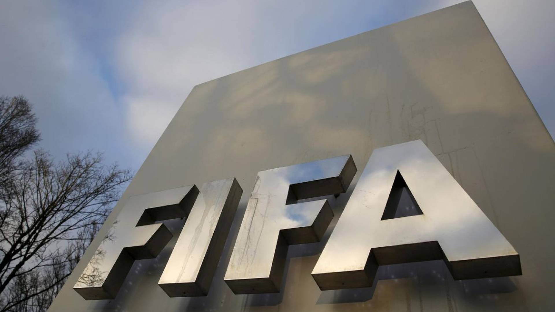 شعار الفيفا