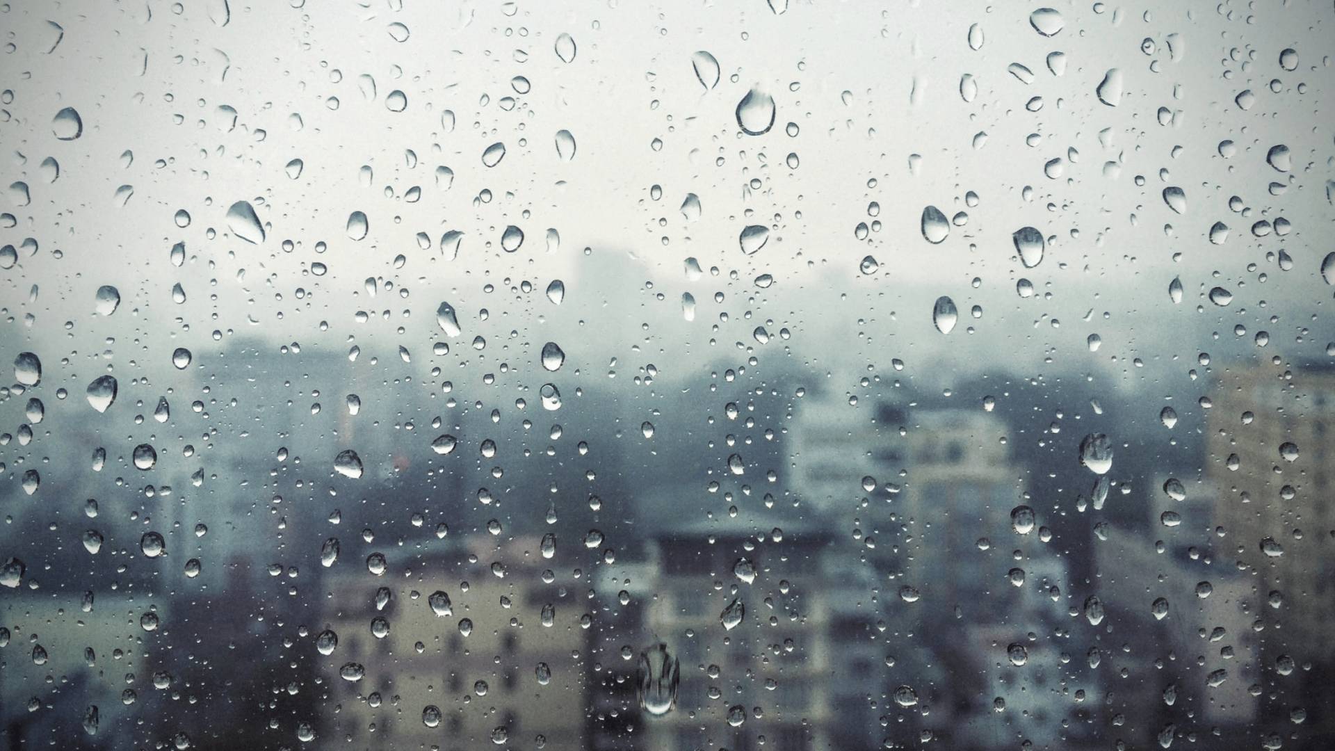 أجواء ماطرة