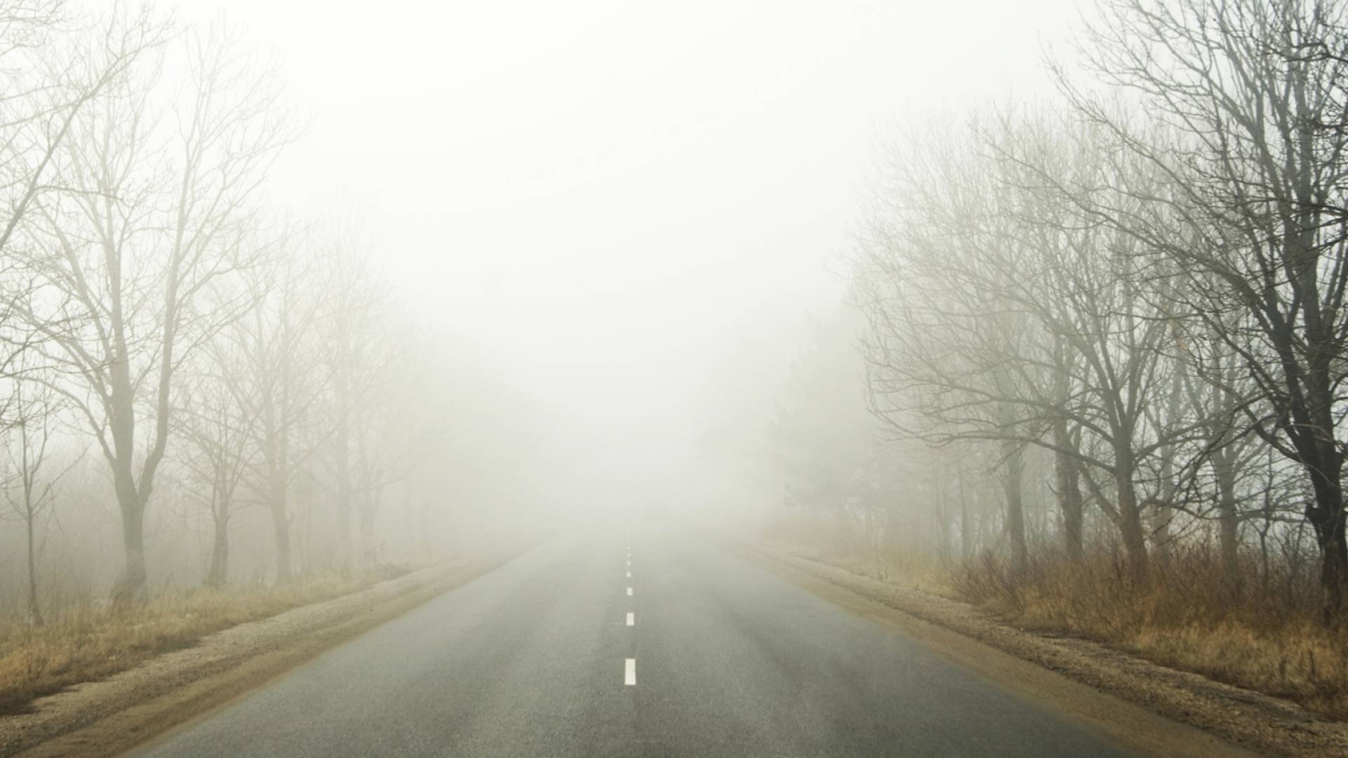 ضباب - تعبيرية