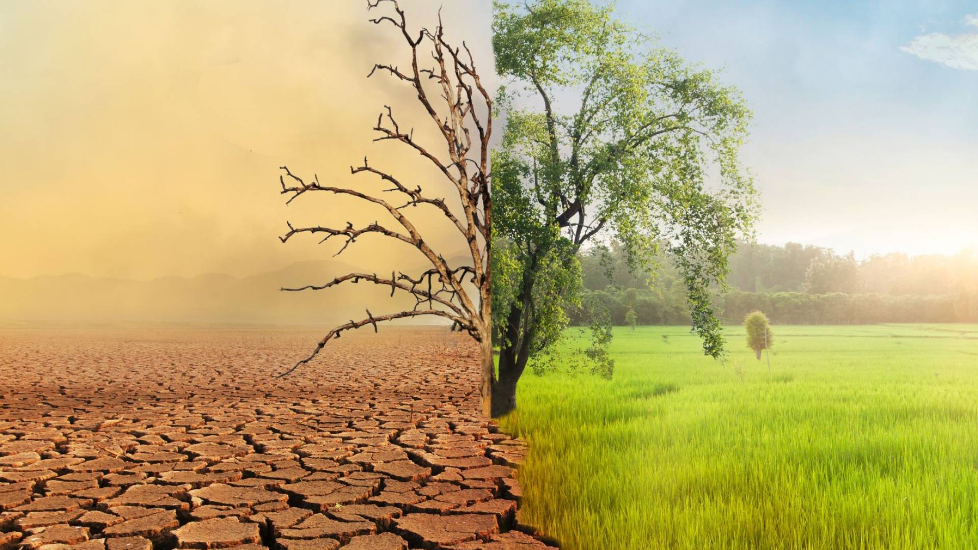 صورة تعبيرية عن التغير المناخي