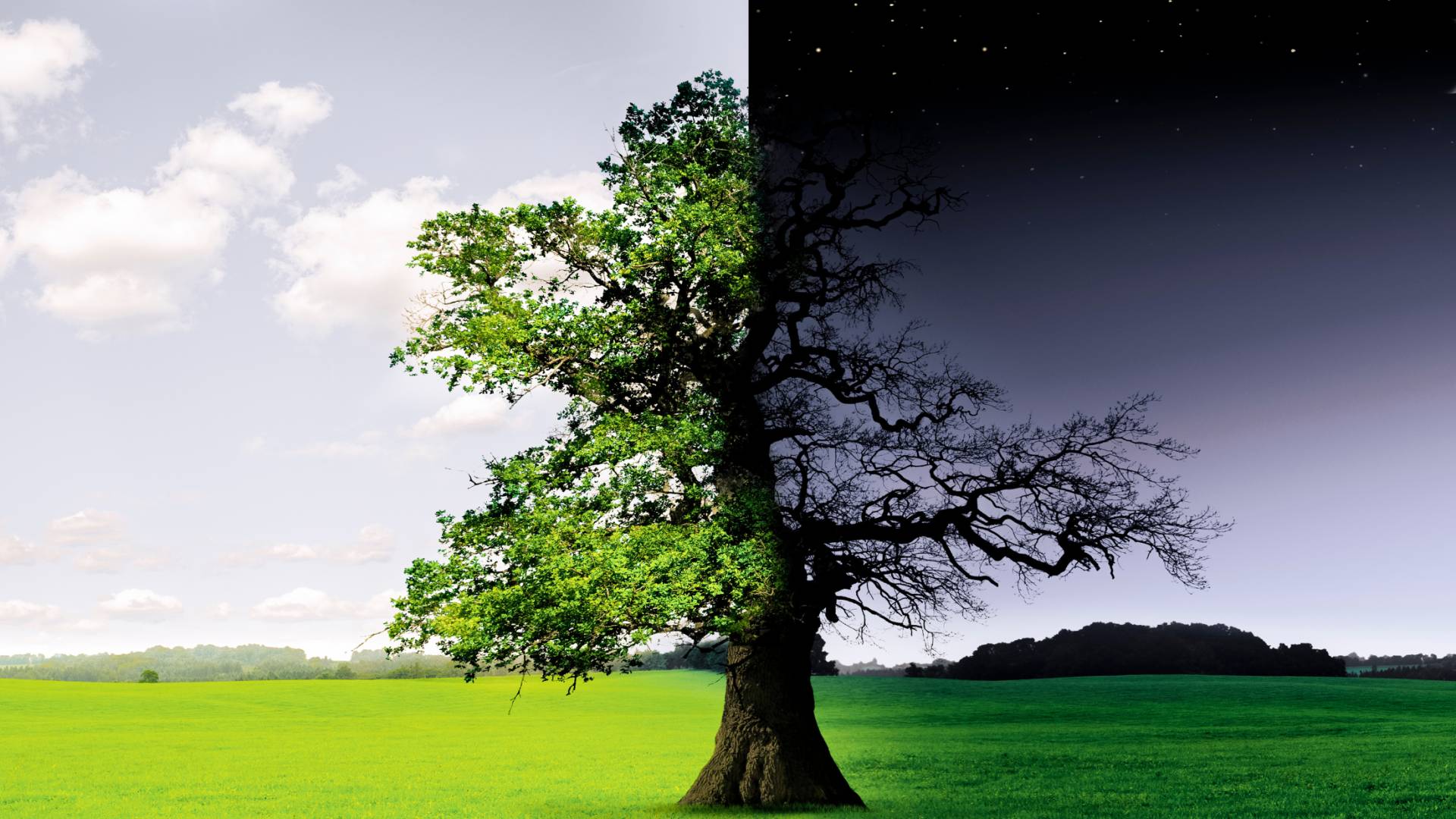 صورة تظهر الليل والنهار