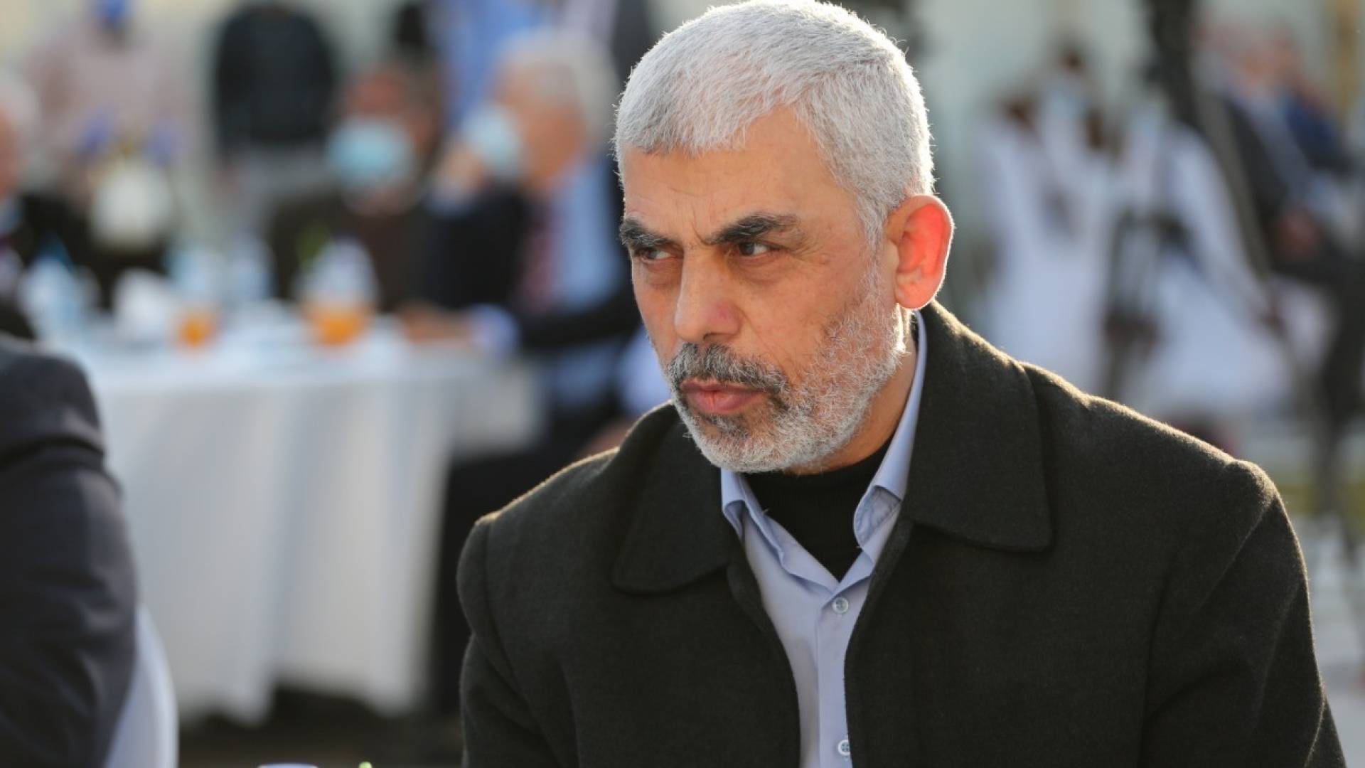 أبو زيد: على السنوار الحذر - فيديو