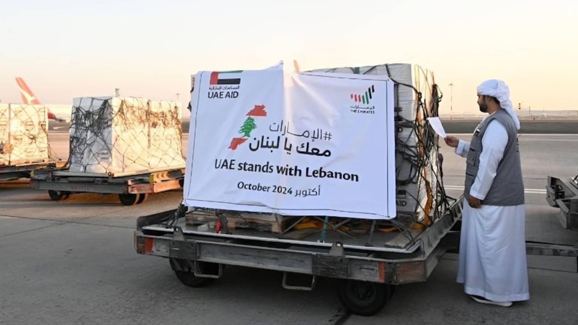 مساعدات إماراتية إلى لبنان