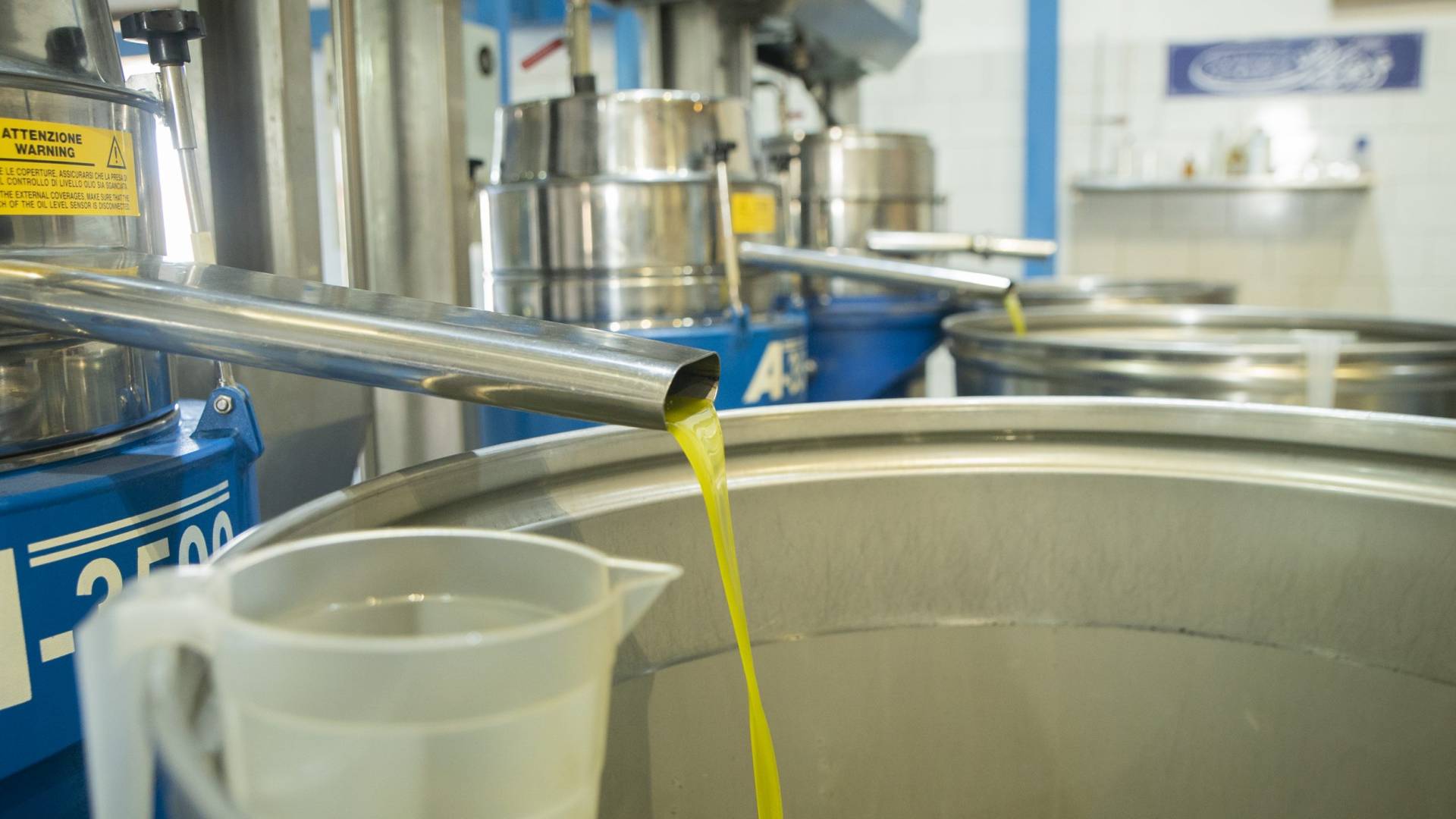 معصرة زيتون