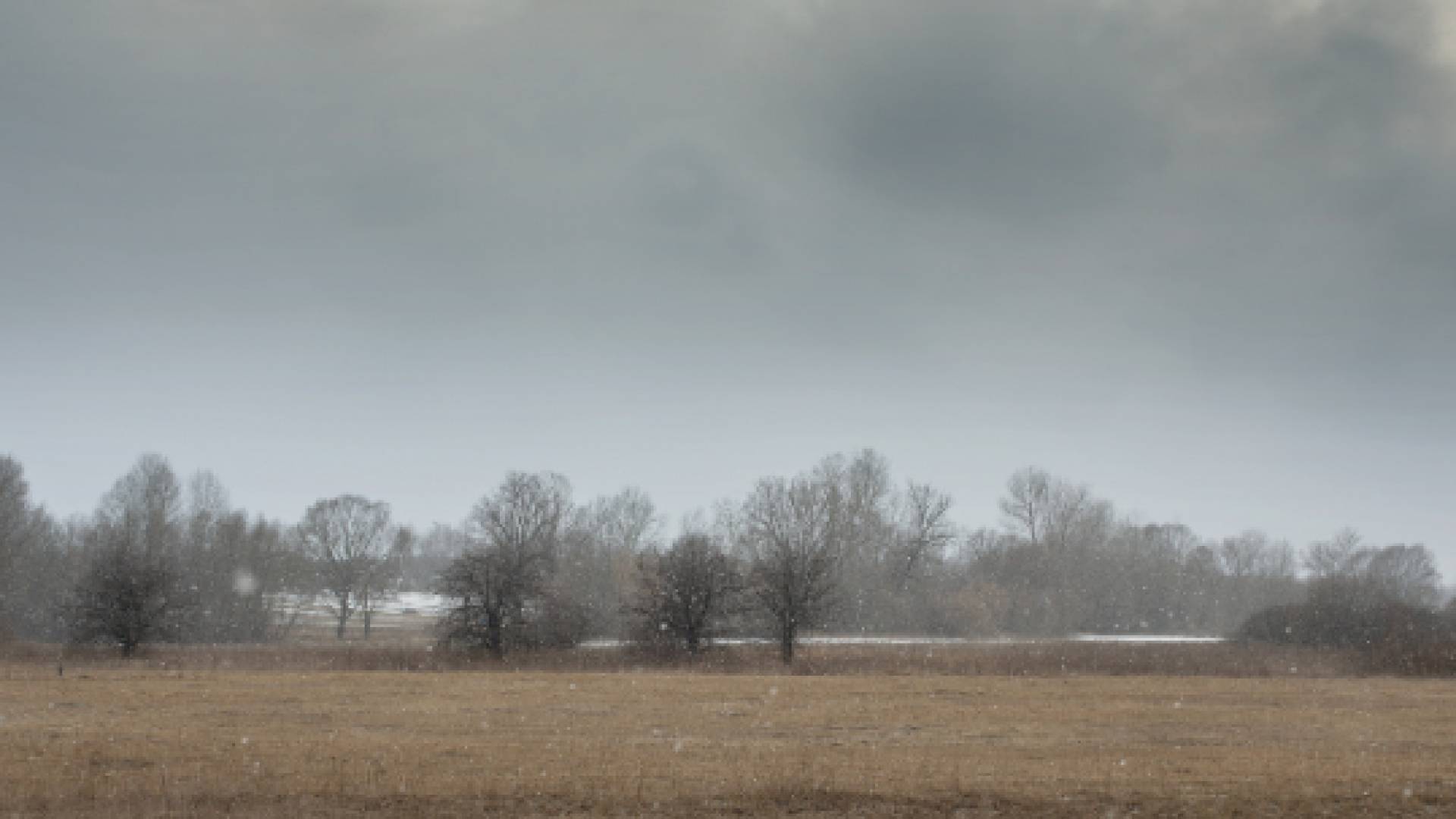 أجواء غائمة