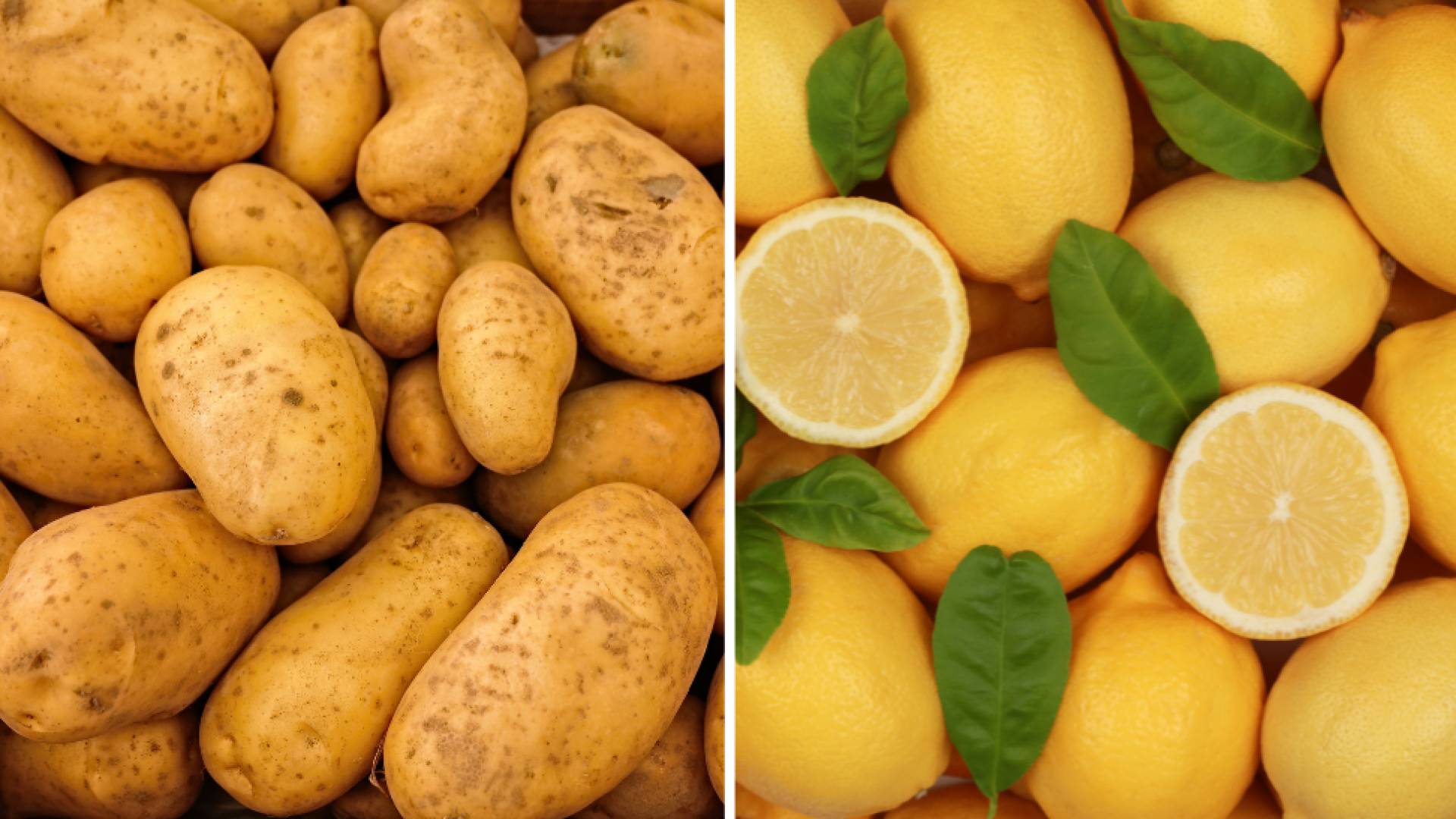 وزير الزراعة يوضح أسباب أزمة الليمون والبطاطا في الأردن - فيديو