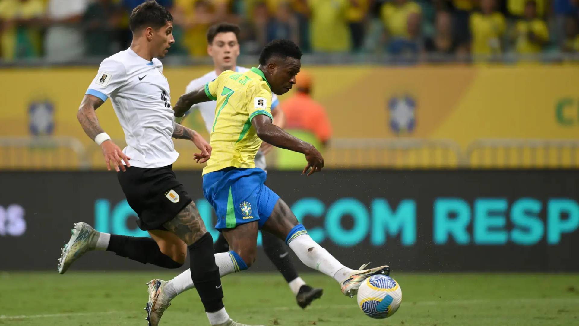 فينيسوس جونيور