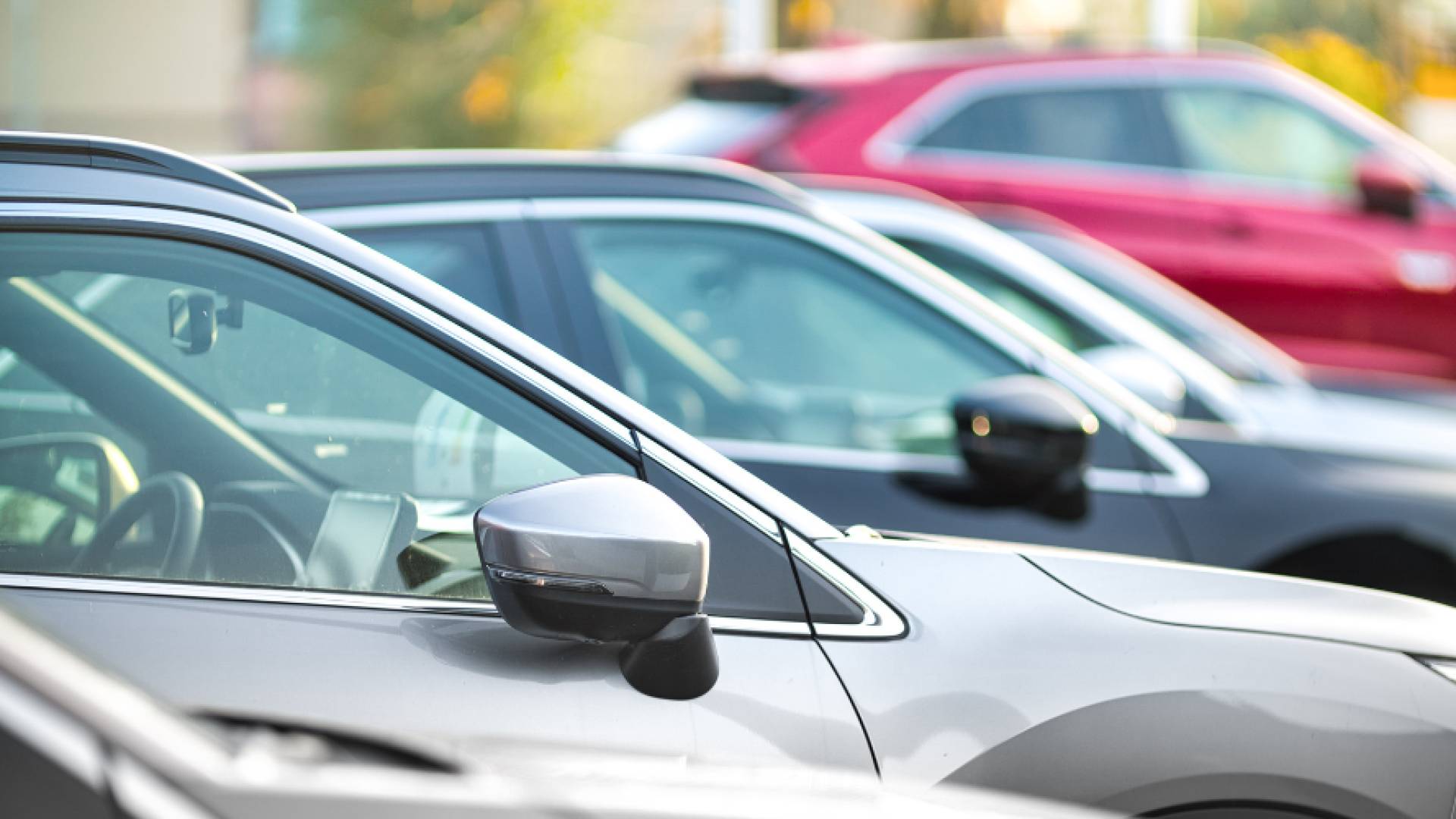 خطة طوارئ لتسهيل التخليص على السيارات في المنطقة الحرة