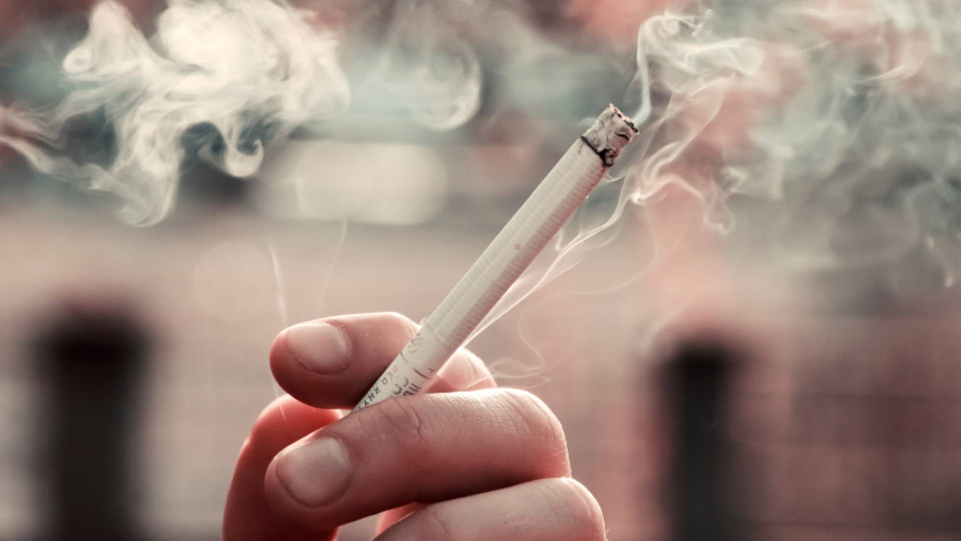 مجلس التعليم العالي يطالب بمنع التدخين داخل الجامعات الأردنية