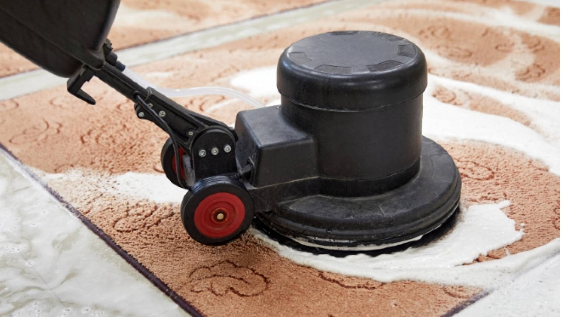 ظاهرة "كلين توكرز" على تيك توك: تنظيف السجاد يجذب مليارات المشاهدات