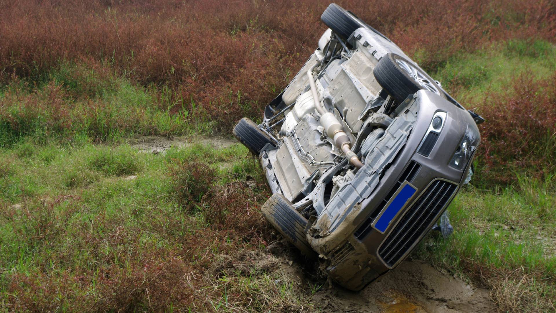 مركبة تدهورت.. الشرطة الفلسطينية: وفاة طالبتين وإصابة 3 في حادث دعس جنوب الخليل