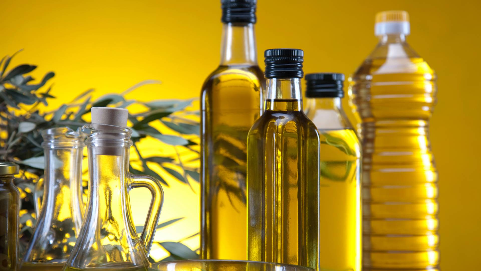 وزارة الزراعة توضح تفاصيل ضبط زيت زيتون مغشوش في مهرجان الزيتون