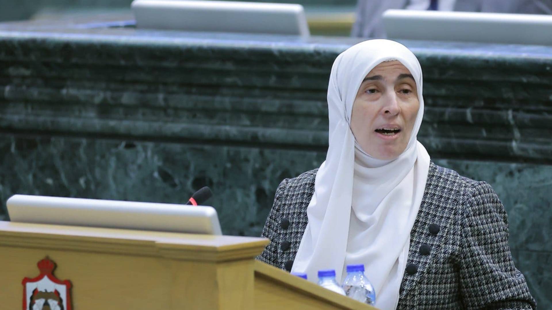 النائب ديمة طهبوب