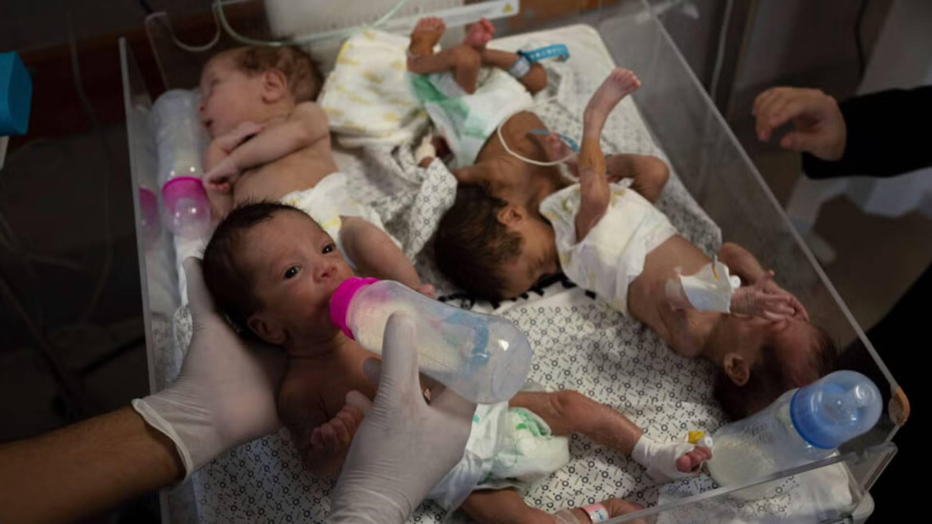صورة تظهر رضع في أحد مستشفيات القطاع