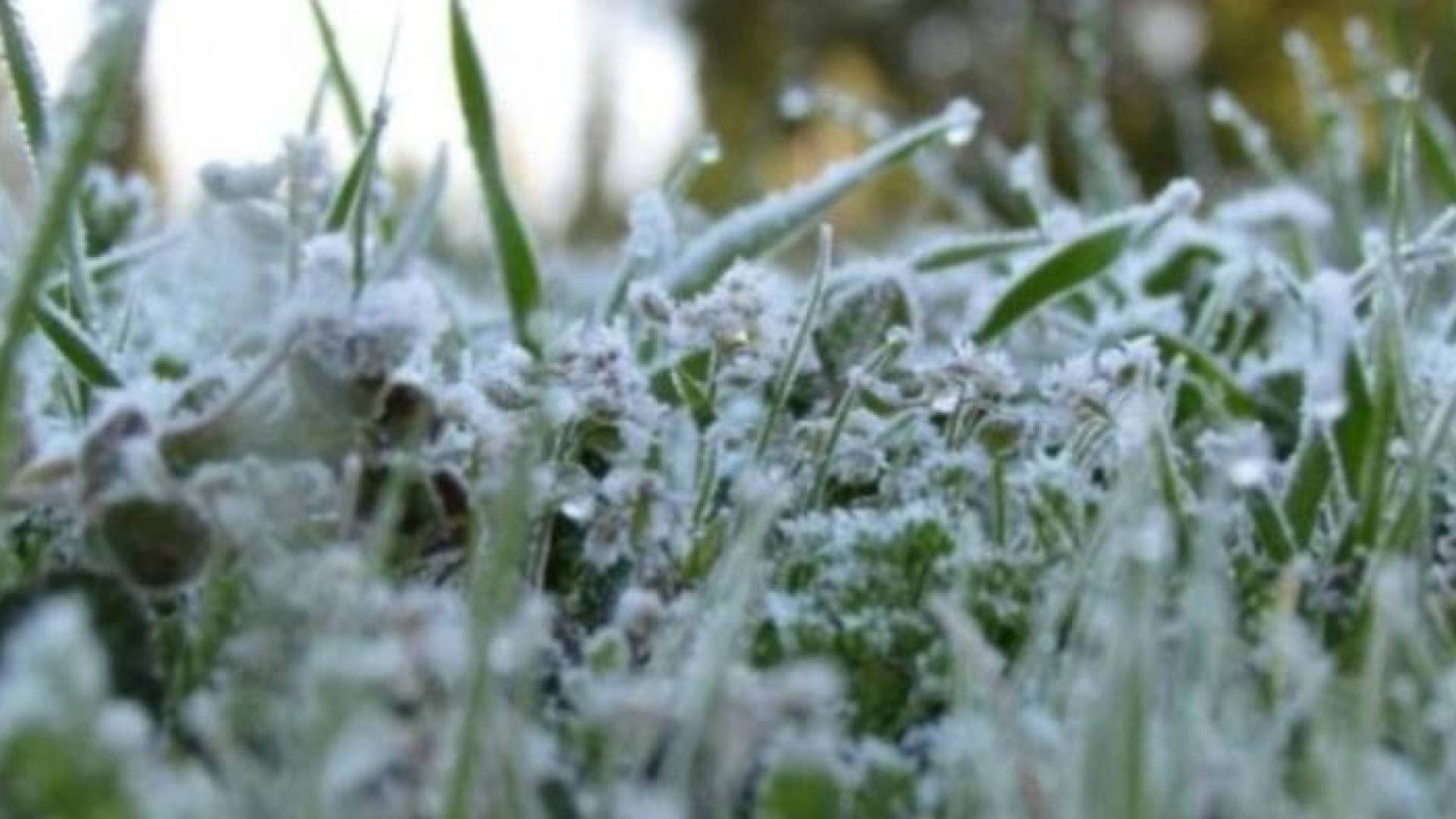 تشكل الصقيع