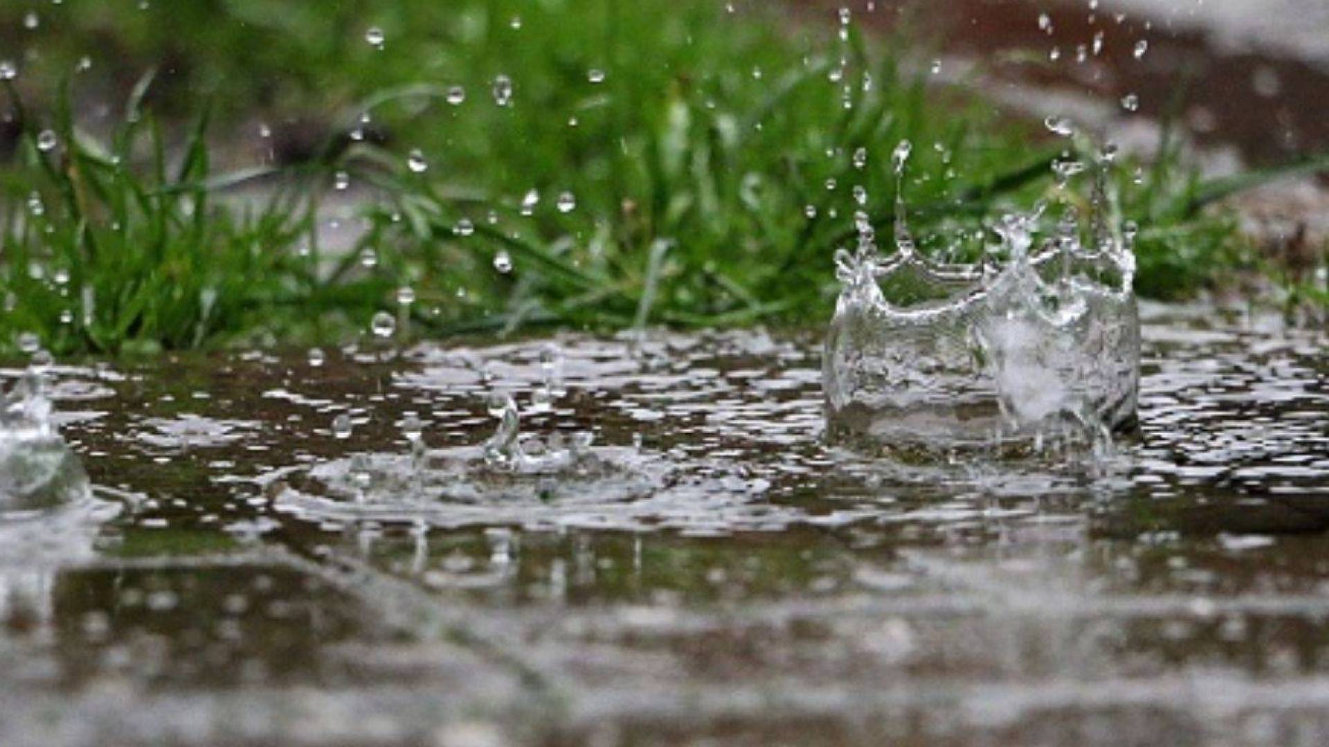 تساقط الامطار