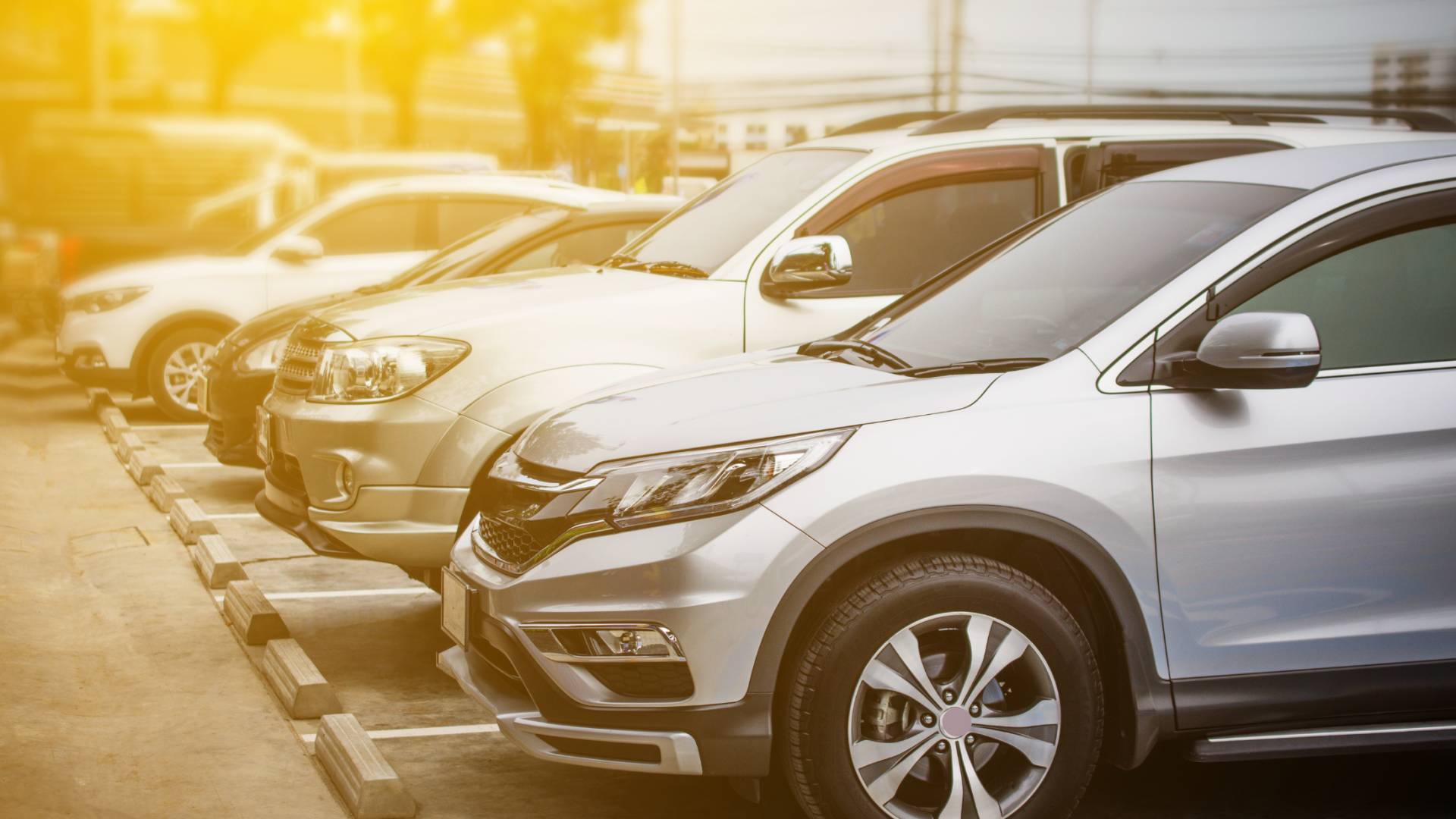 صورة تظهر مجموعة سيارات