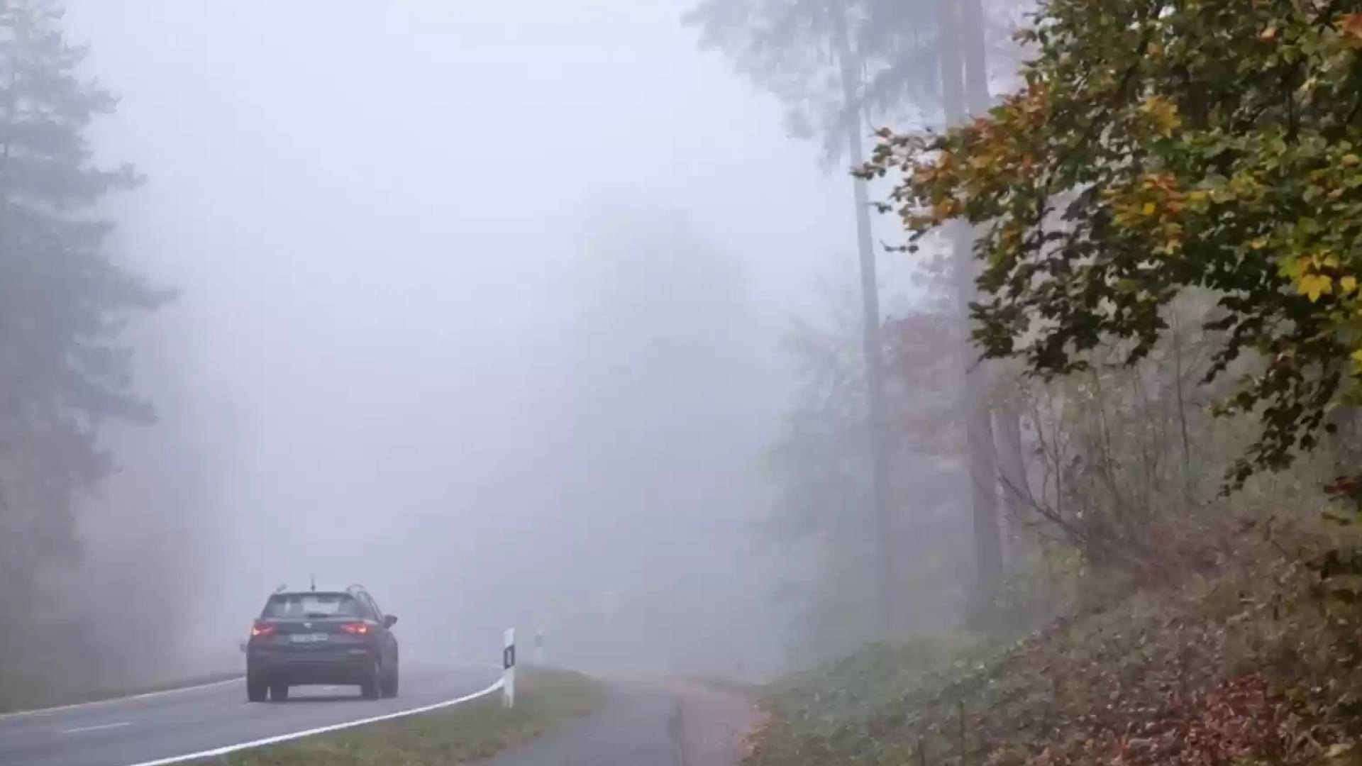 طقس العرب: تحذير من تشكل الضباب السبت والأحد في هذه الأماكن في الأردن