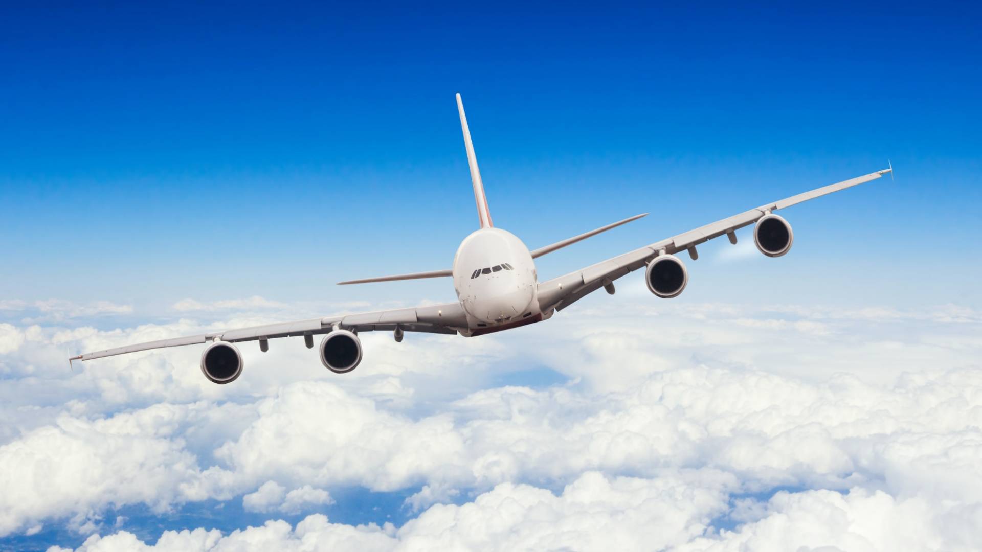 عودة حركة الطيران لطبيعتها في مطار الملكة علياء الدولي بعد توقف مؤقت بسبب الضباب