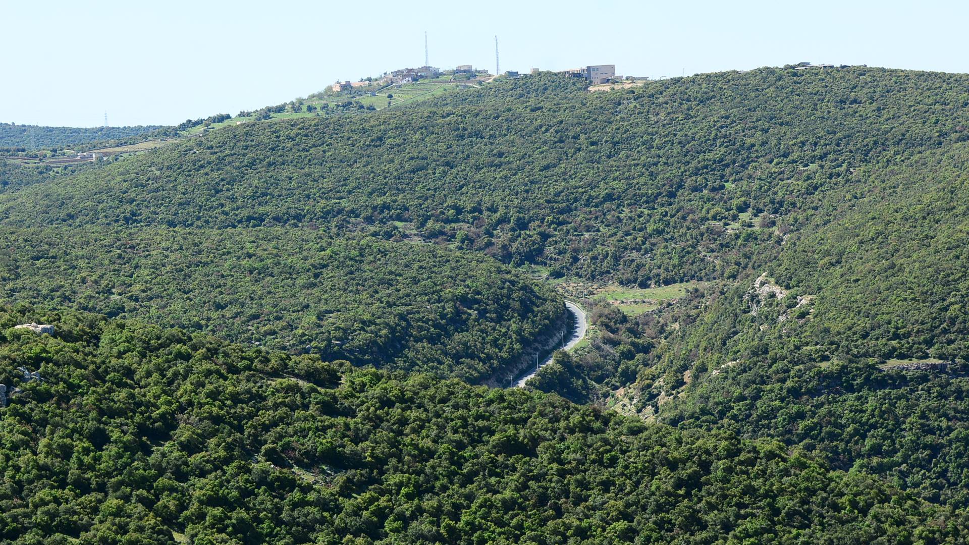 جانب من غابات عجلون شمالي الأردن