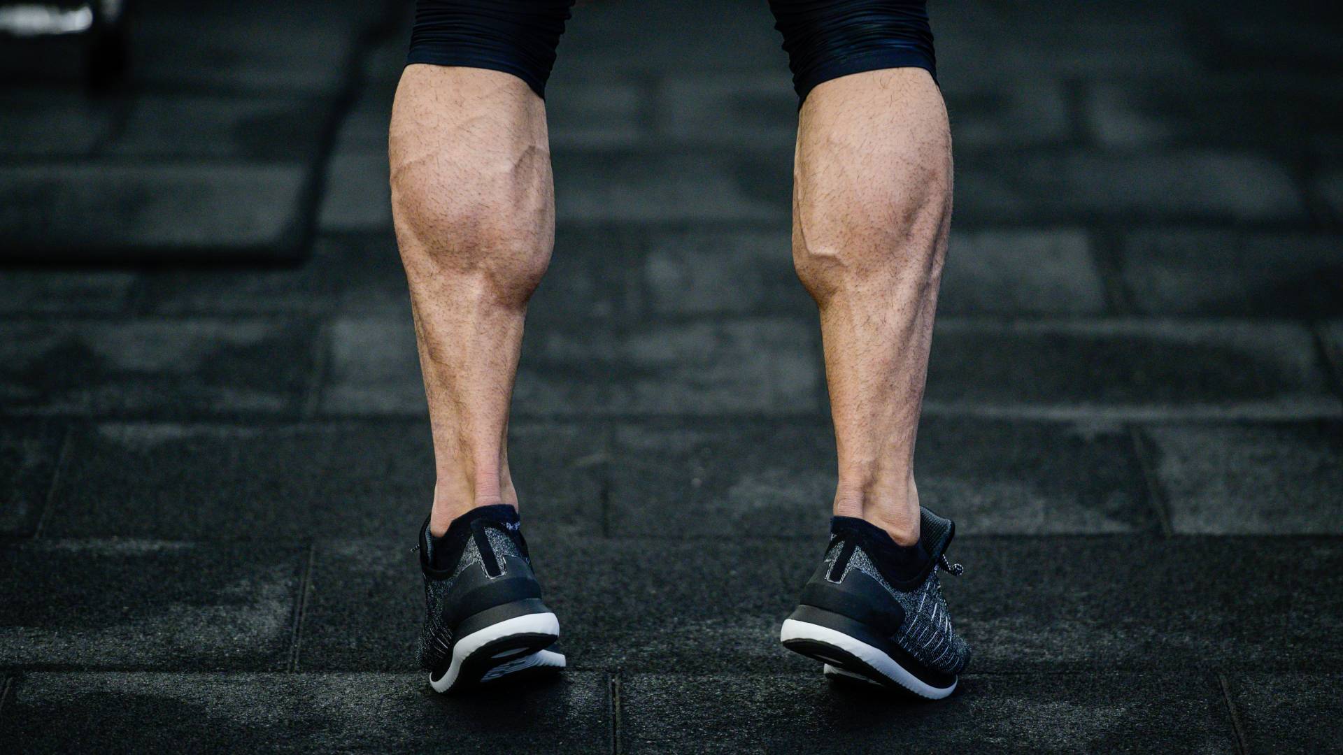 عضلات الساقين - تعبيرية