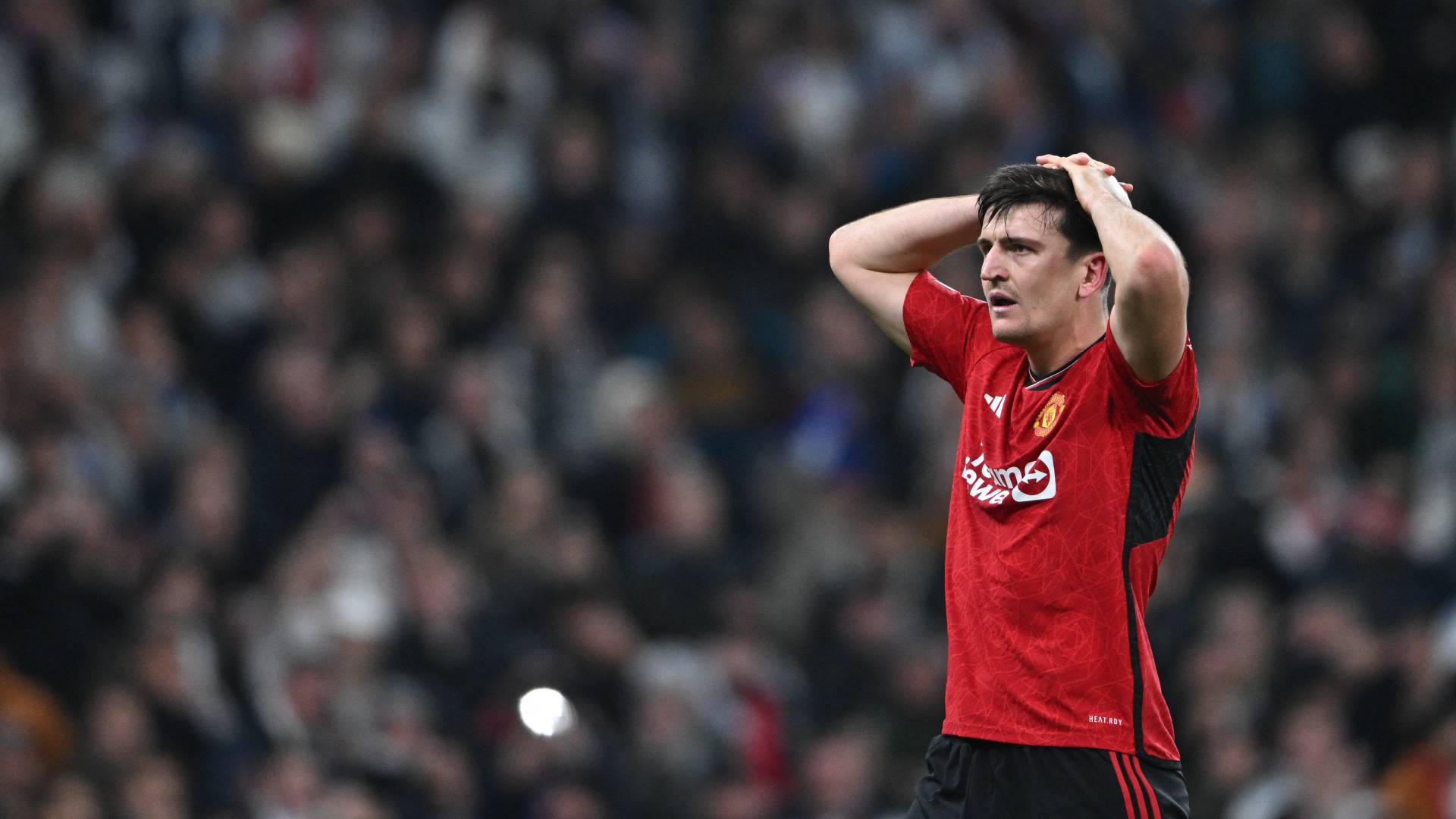 هاري ماغواير