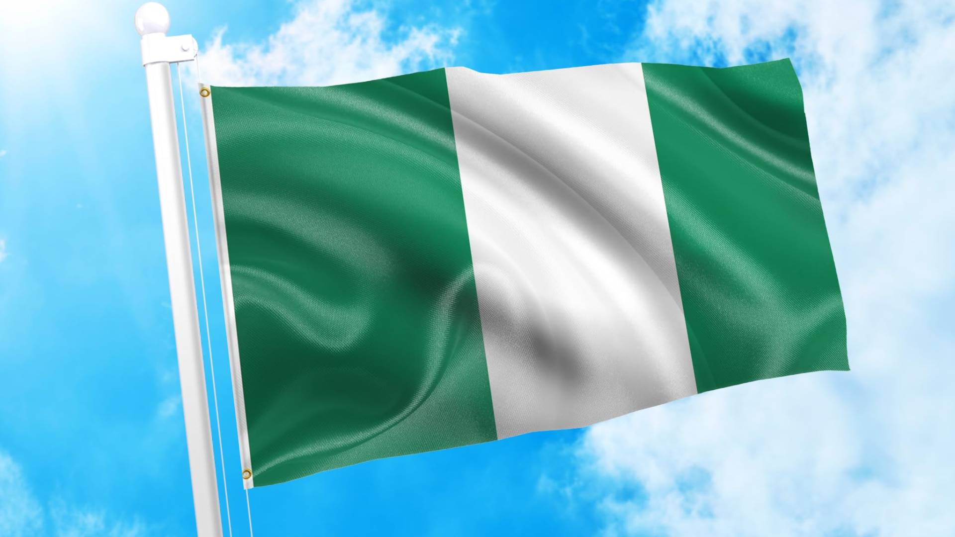 العلم دولة نيجيريا "تعبيرية"