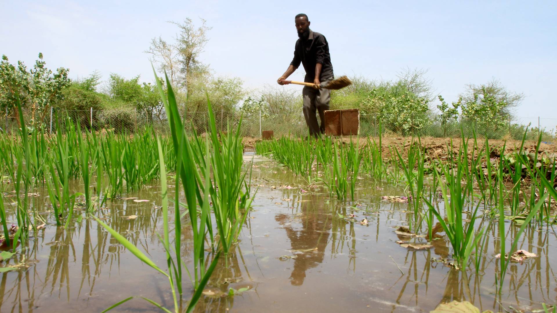 صولاة تظهر عامل بقطاع الزراعة