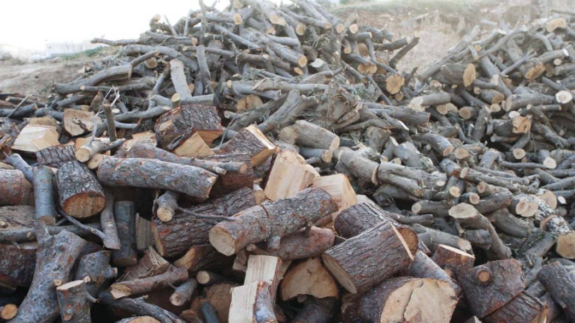 حطب - تعبيرية