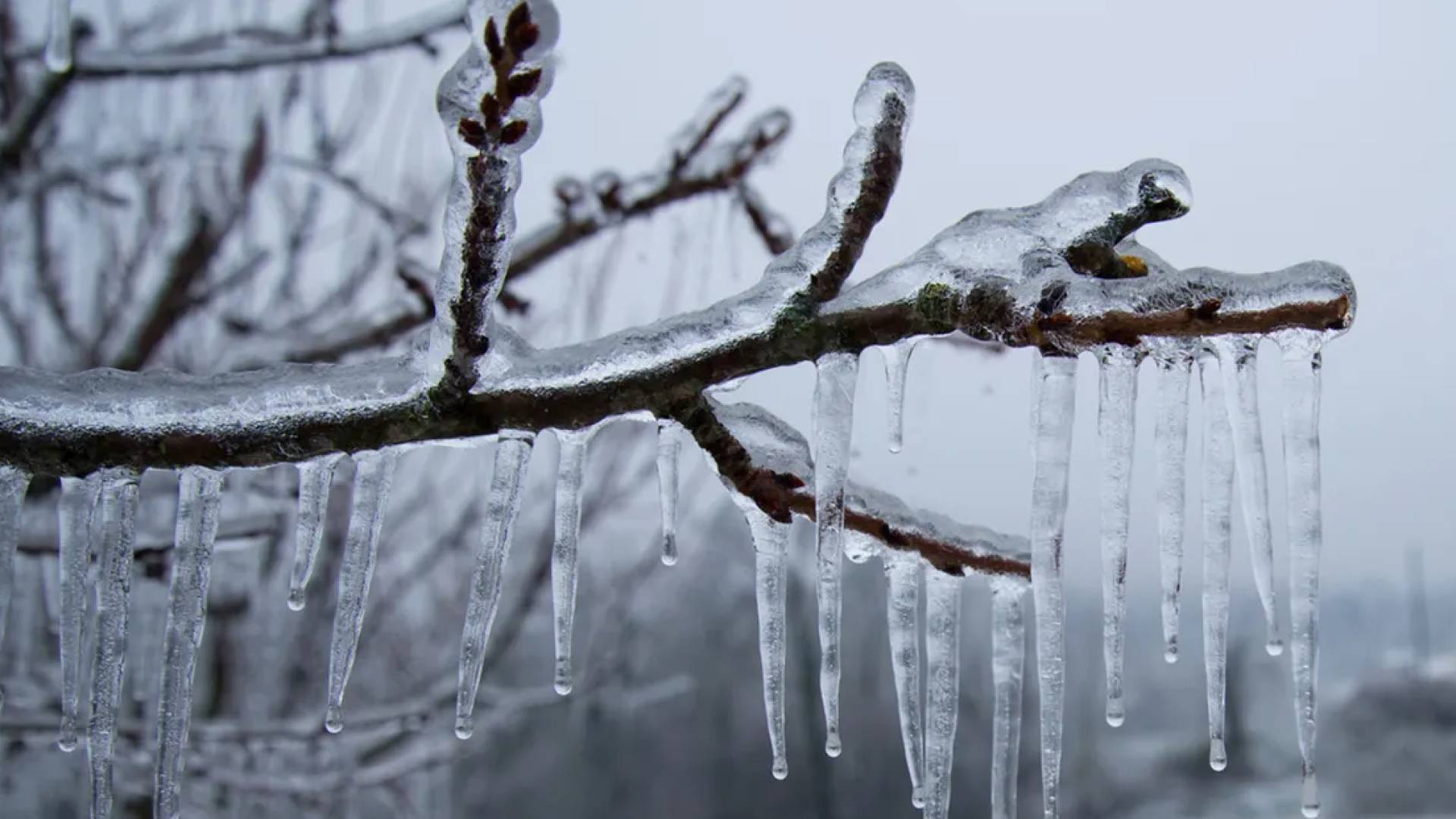 انجماد - أرشيفية