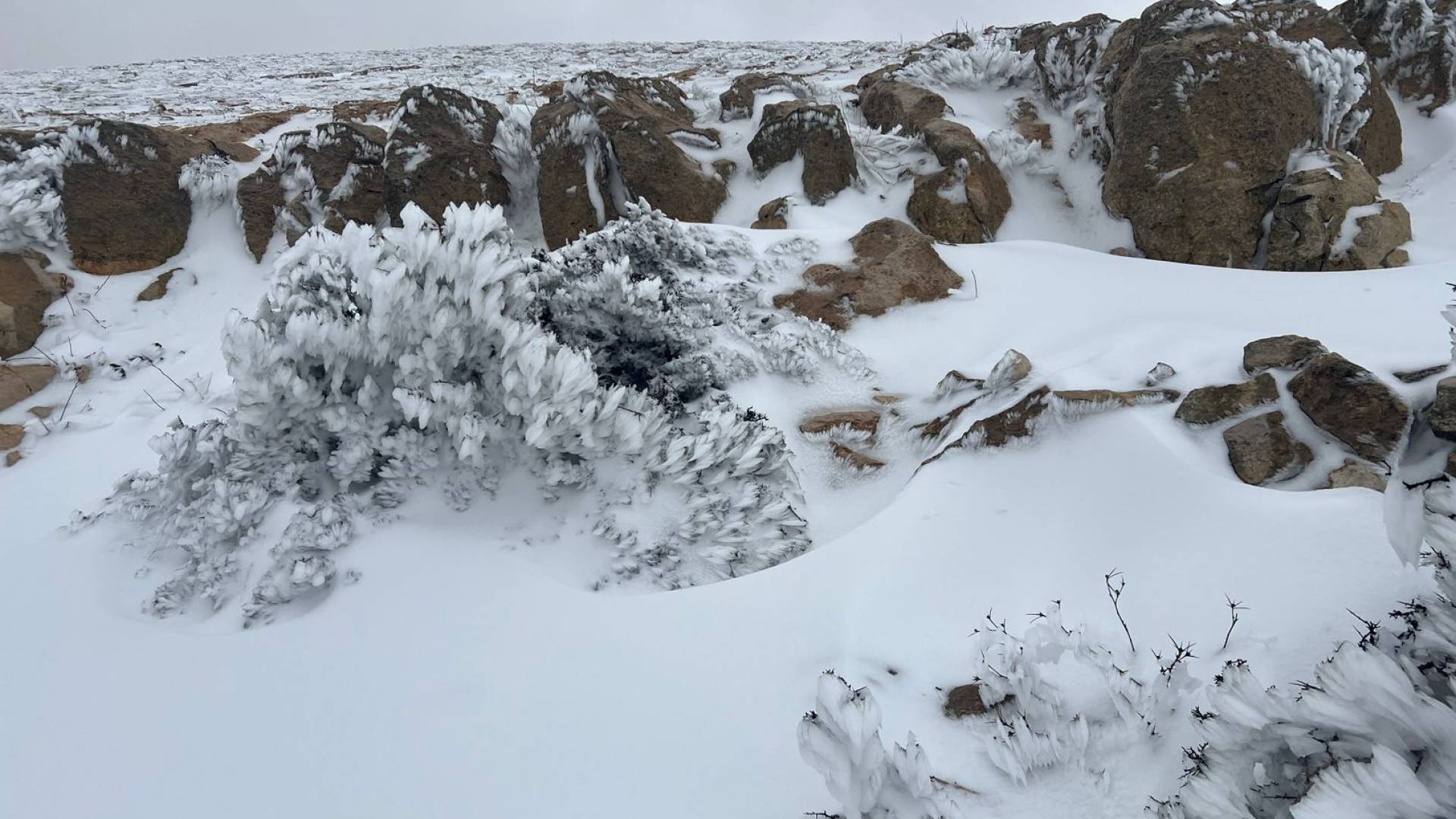 ثلوج الطفيلة