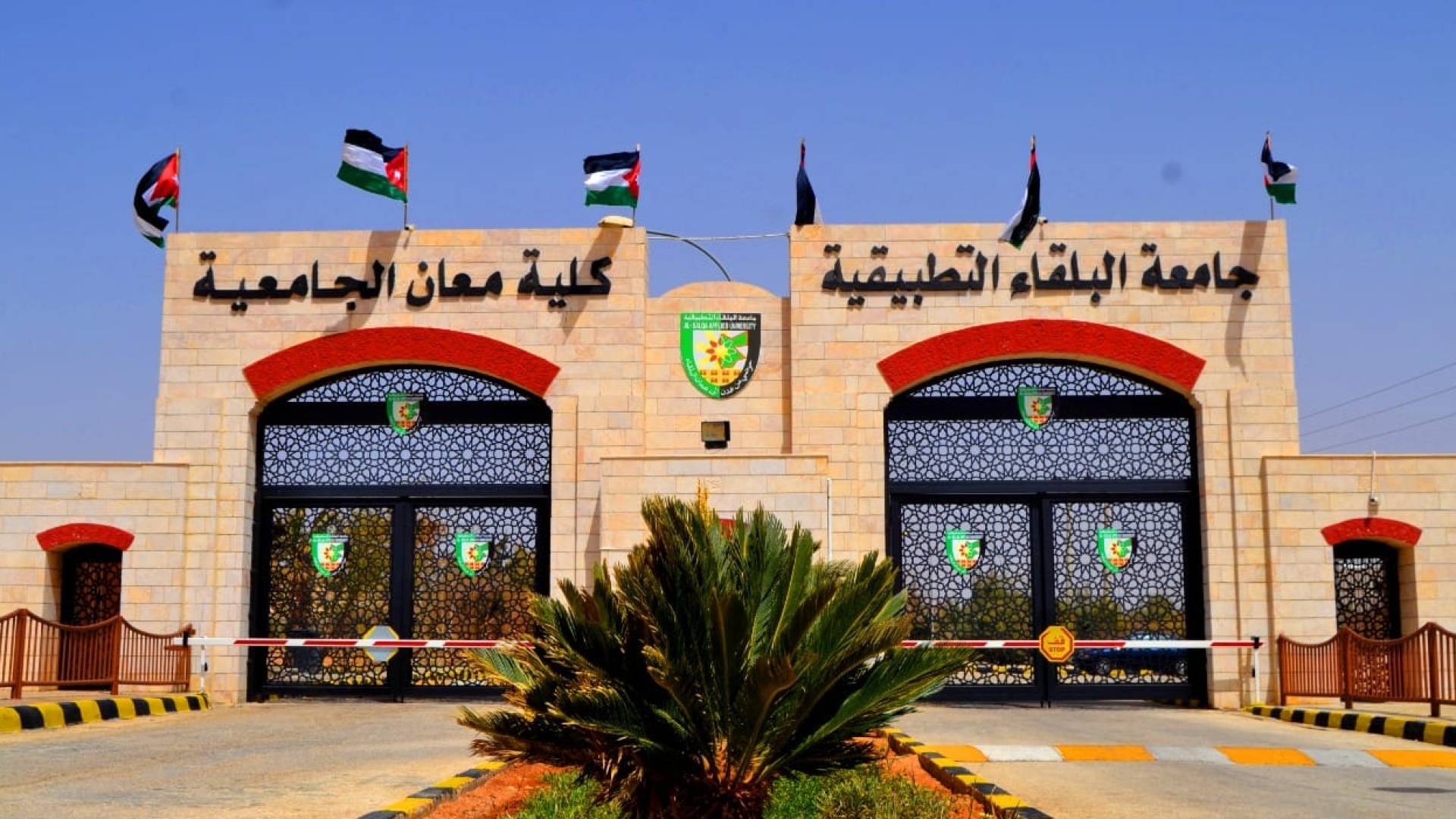 كلية معان الجامعية