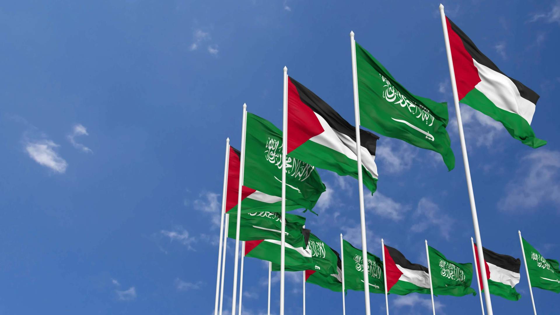 العلم الفلسطيني والعلم السعودي