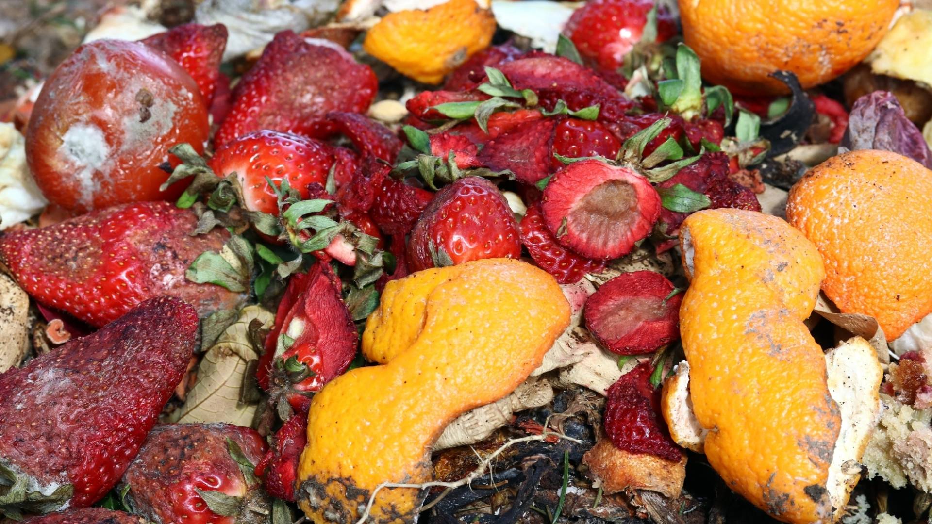 مواد غذائية منتهية الصلاحية