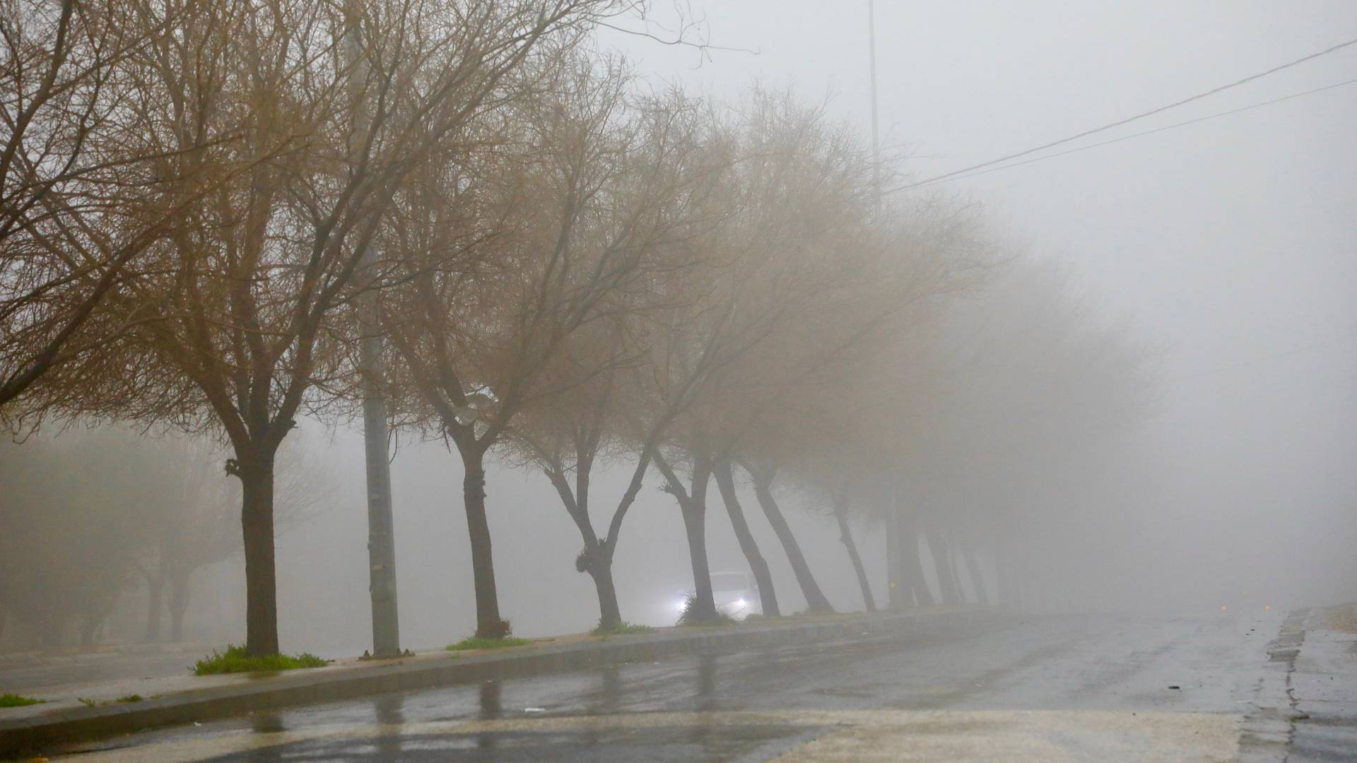 تشكل الضباب خلال المنخفض الجوي