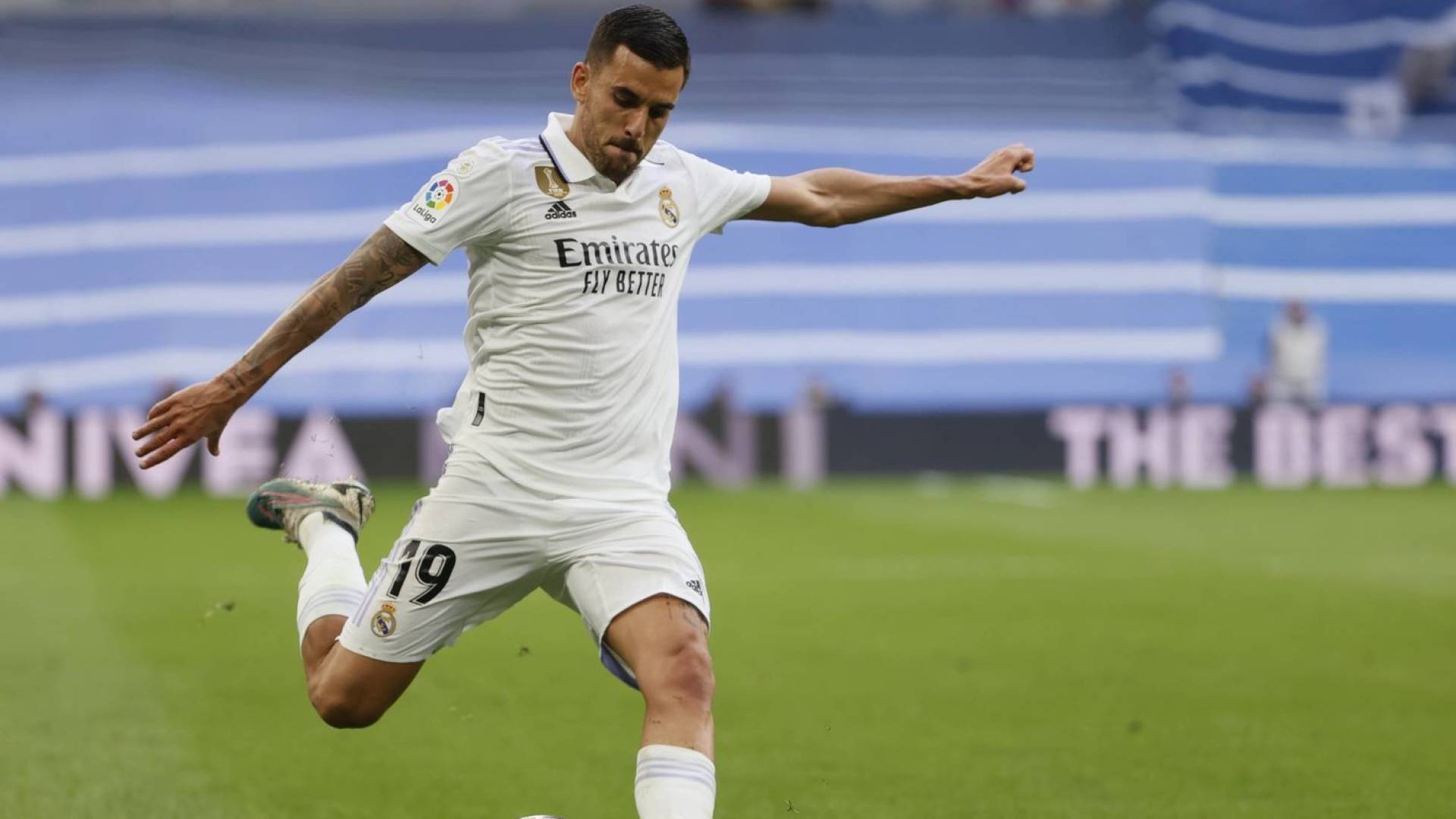 داني سيبايوس