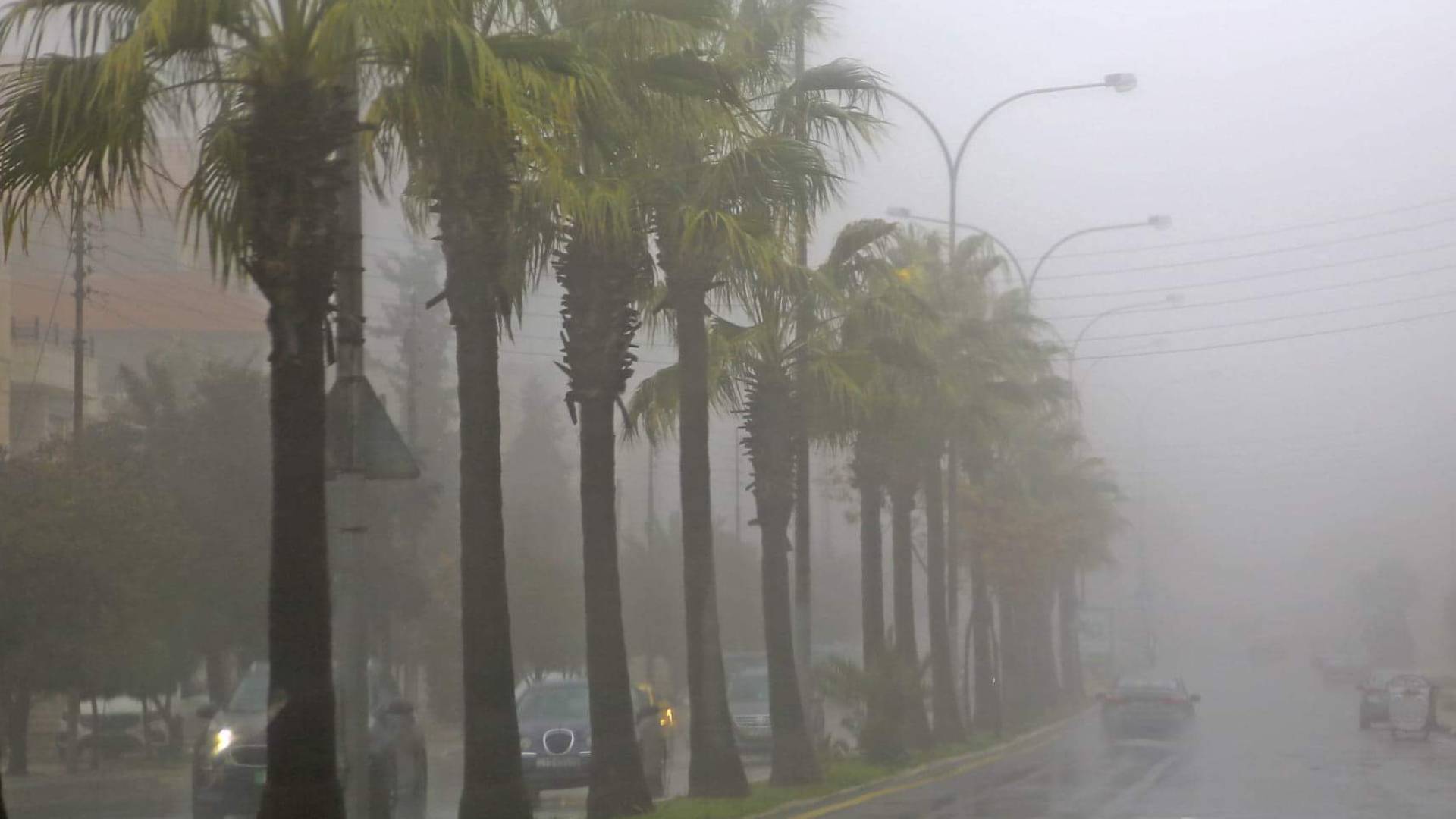 شركة الكهرباء الأردنية لـ"رؤيا": جاهزون للتعامل مع المنخفض الجوي وتأمين استقرار الشبكة - فيديو