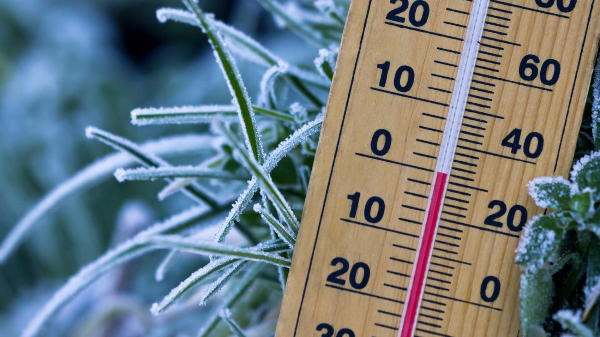 طقس قارس وثلوج خفيفة محتملة.. الأردن يواجه موجة برودة استثنائية الاثنين - فيديو