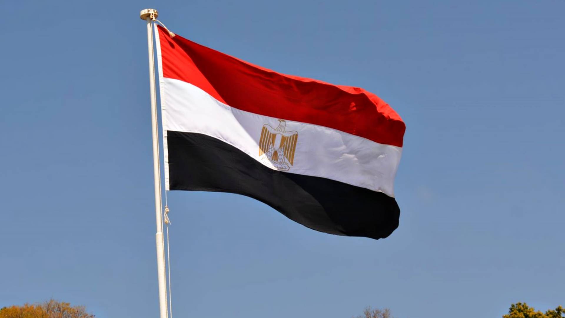 مصر