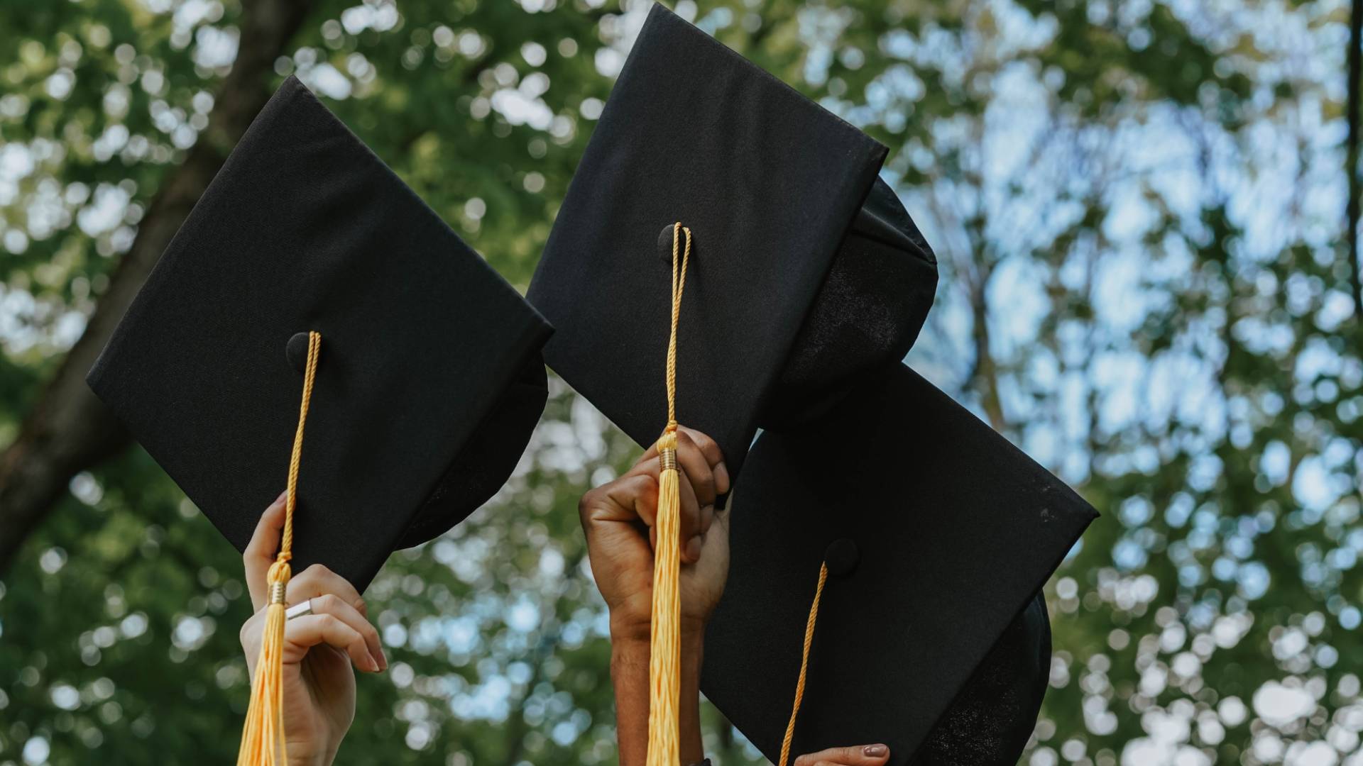 تخريج طلبة "أرشيفية"